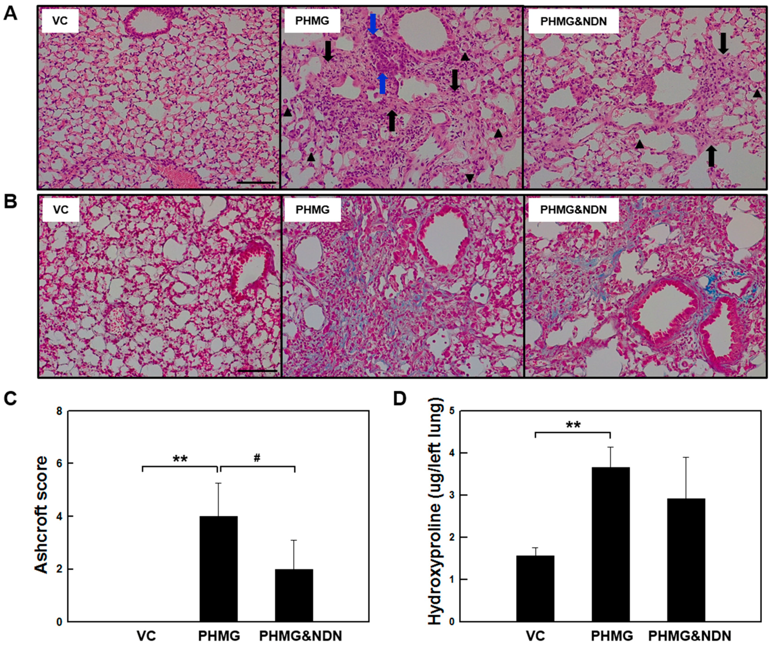 Molecules 23 01974 g003