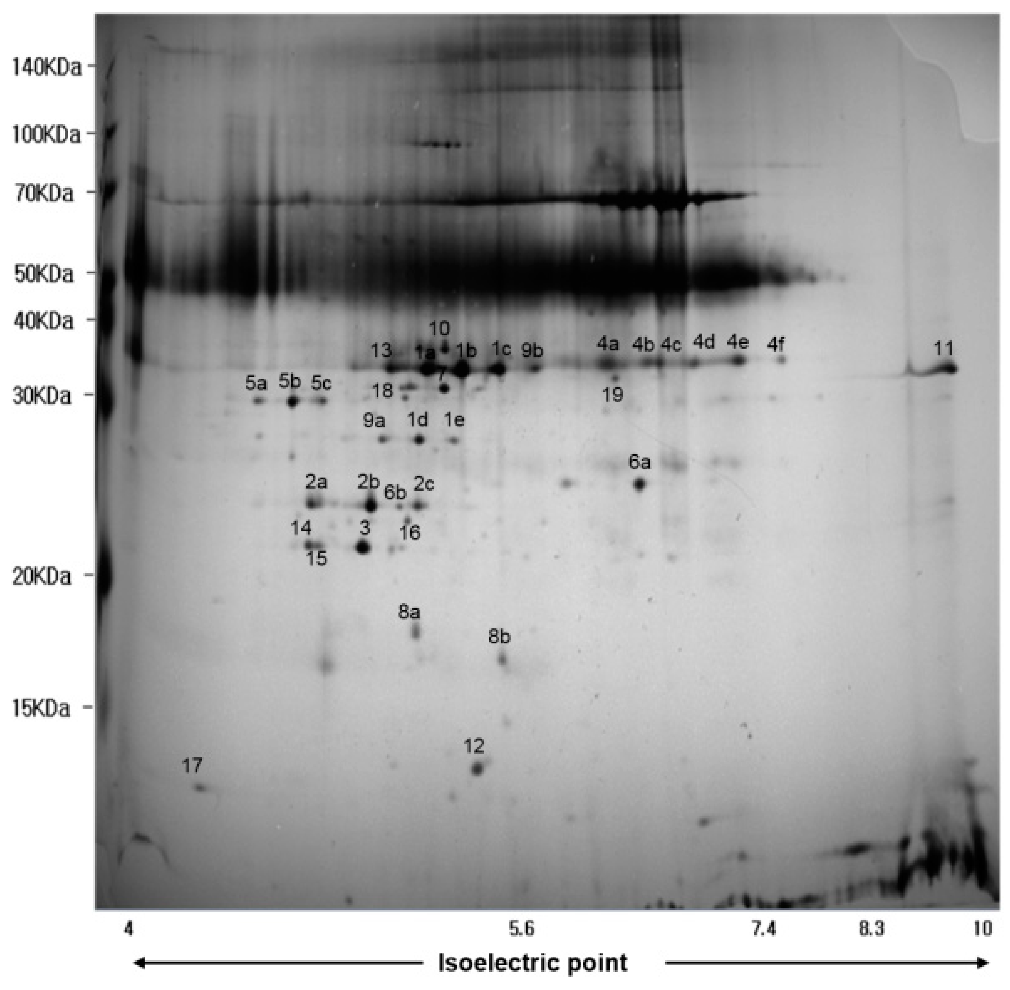 Molecules 23 01984 g004
