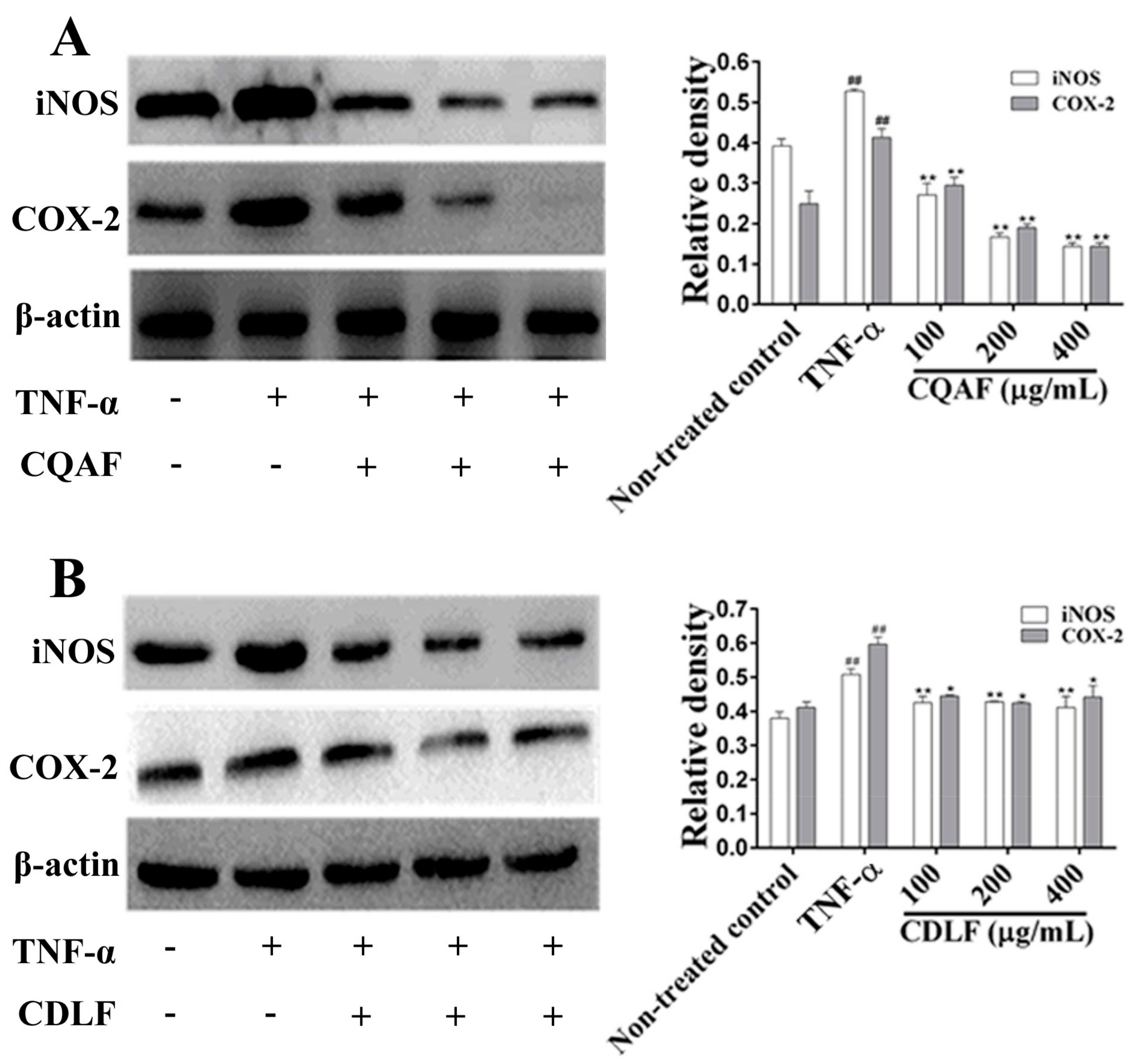 Molecules 23 01988 g007