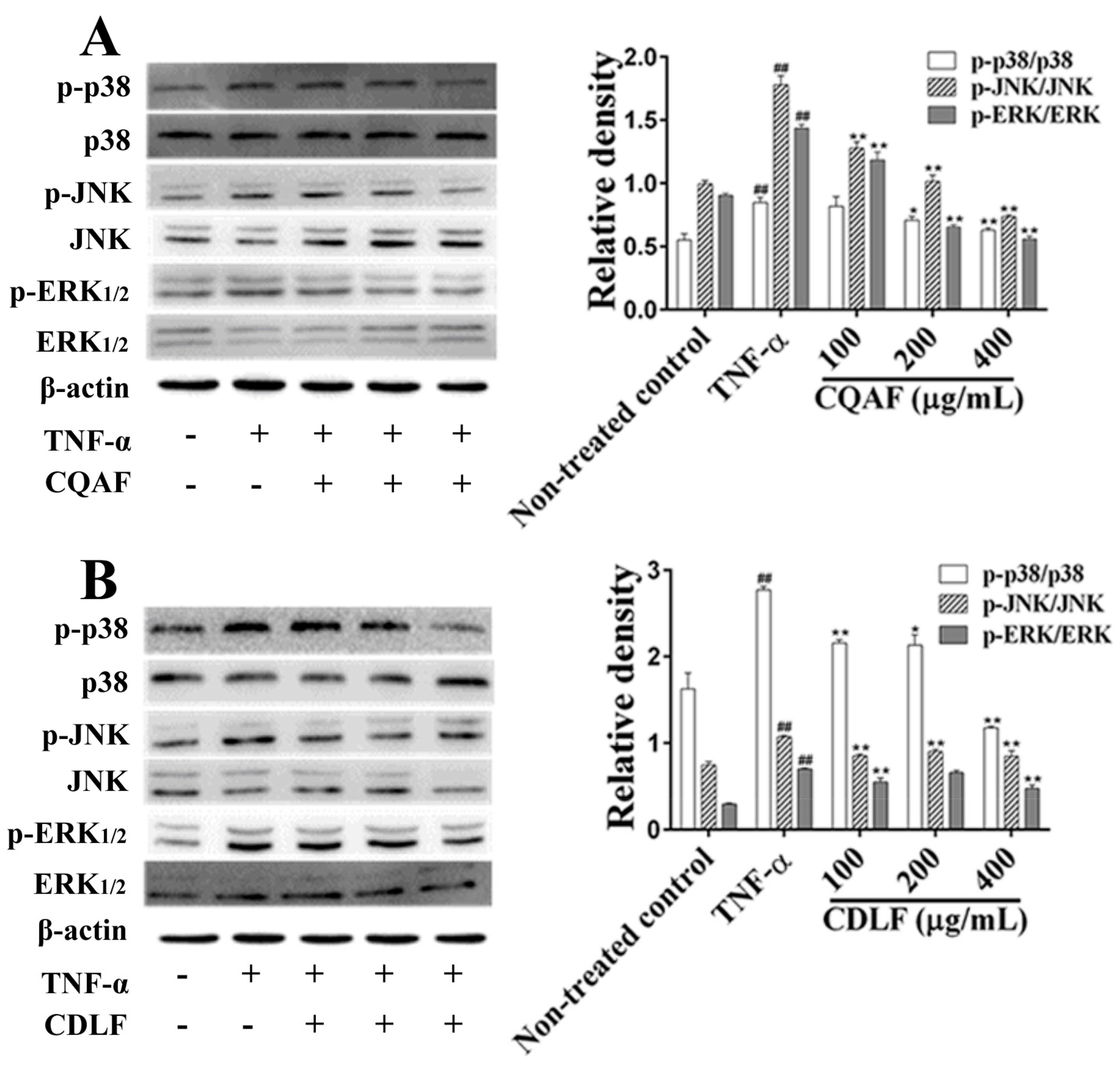 Molecules 23 01988 g009