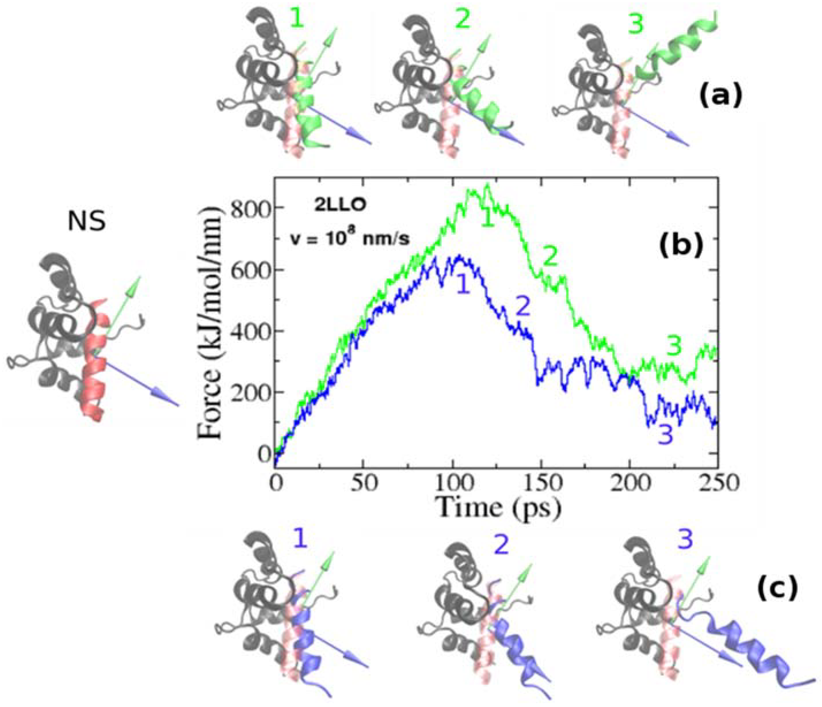 Molecules 23 01995 g002 Molecules 23 01995 g002