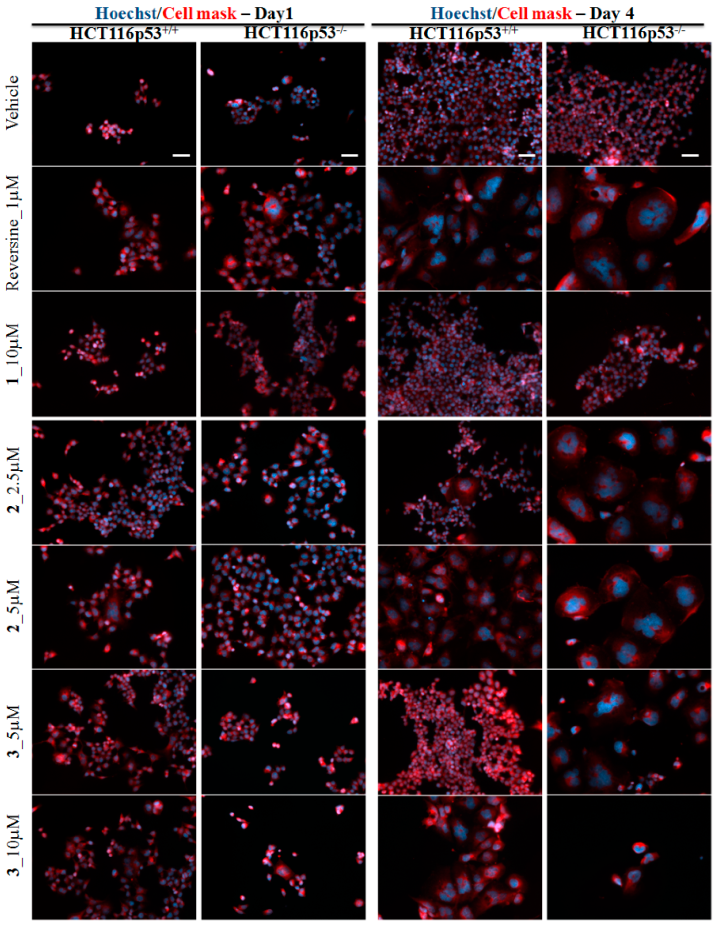 Molecules 23 01996 g003
