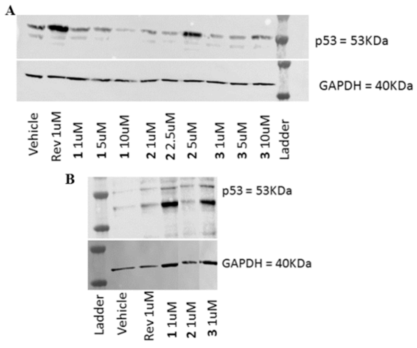 Molecules 23 01996 g004