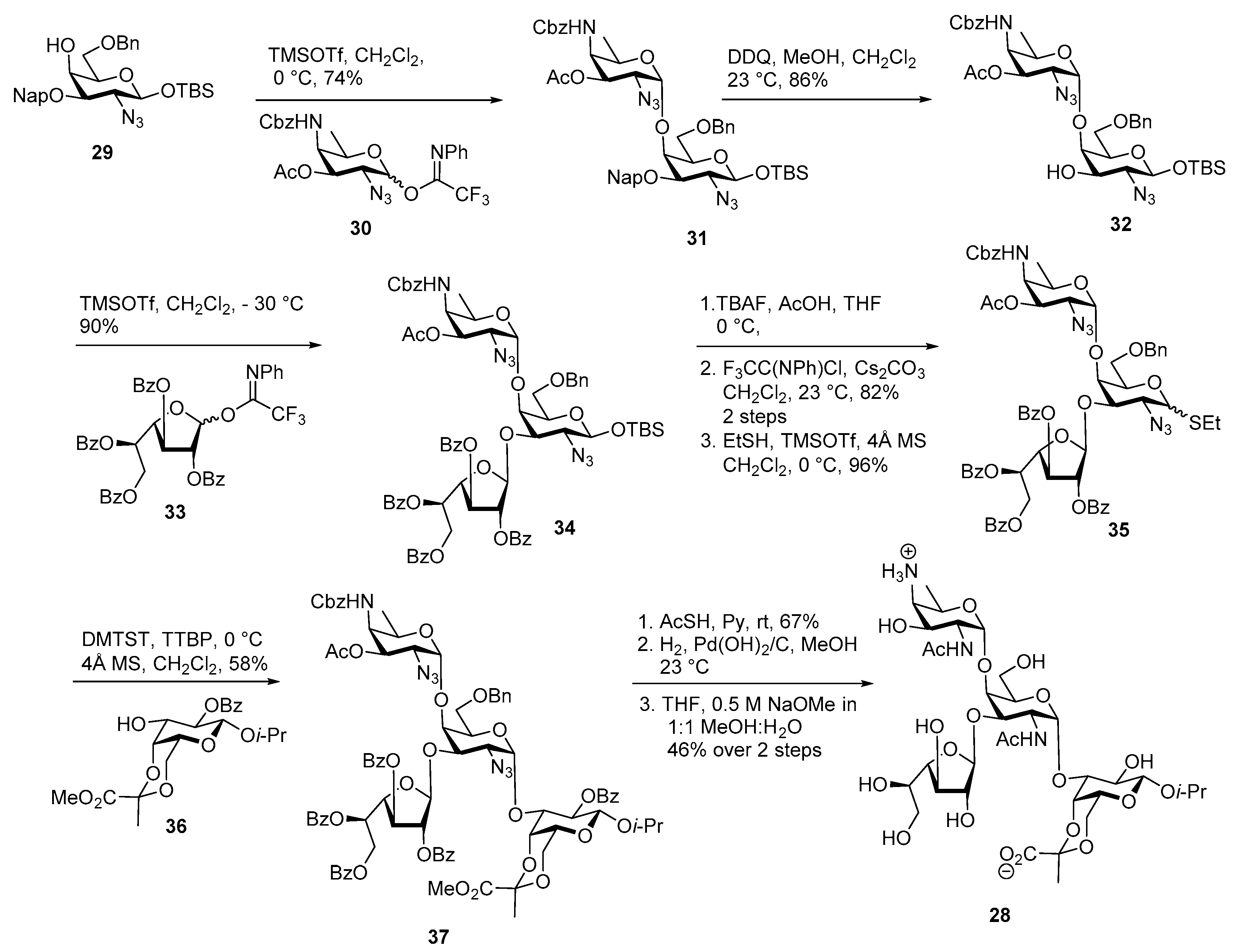 Molecules 23 01997 sch005 Molecules 23 01997 sch005