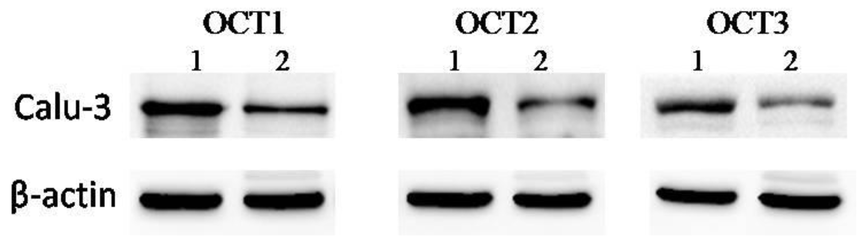Molecules 23 02001 g006