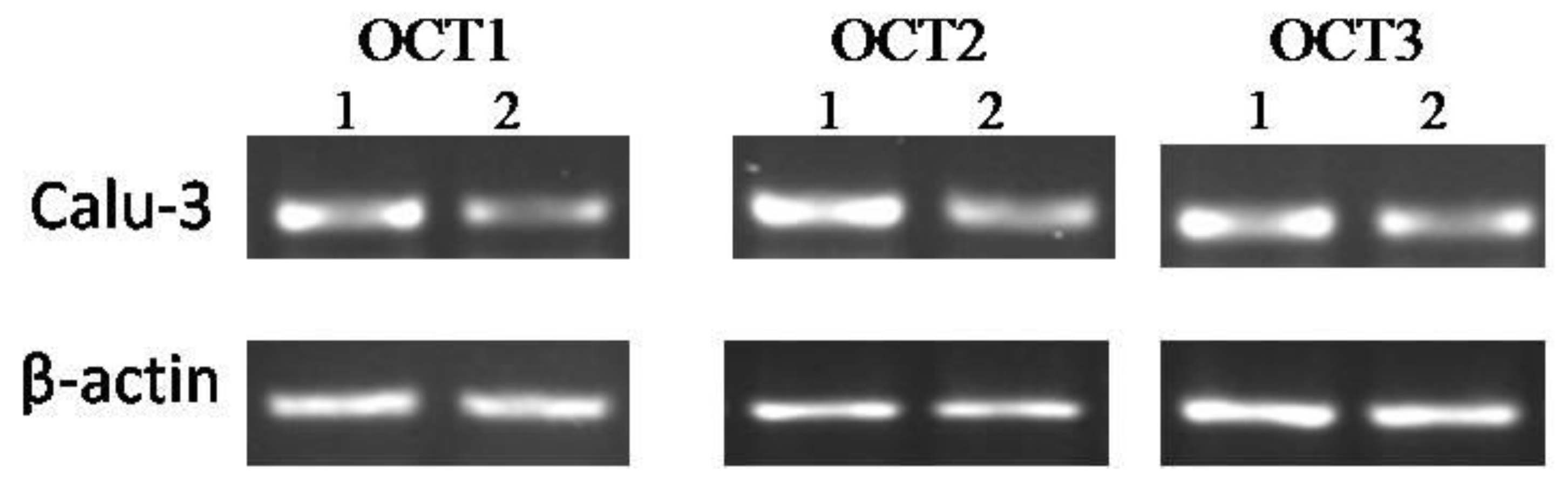 Molecules 23 02001 g008