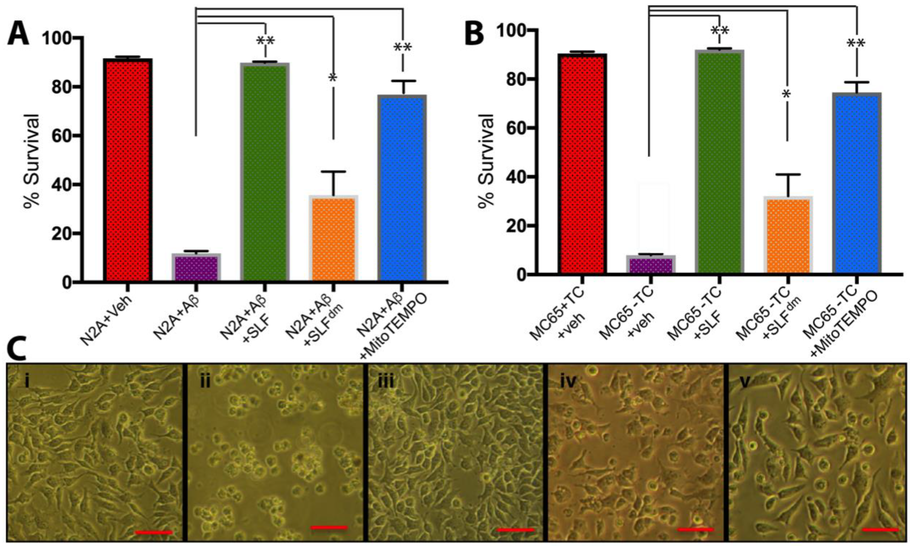 Molecules 23 02010 g002