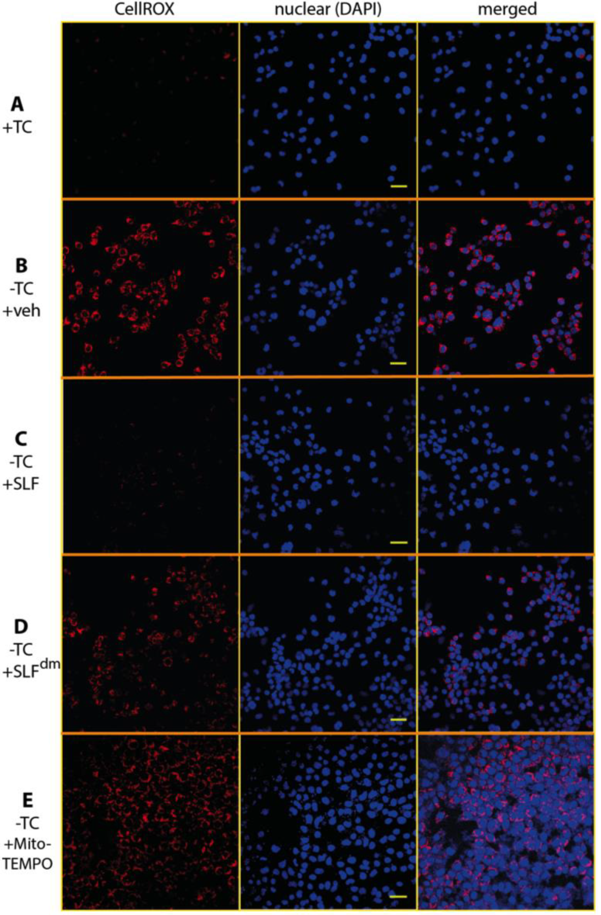 Molecules 23 02010 g003