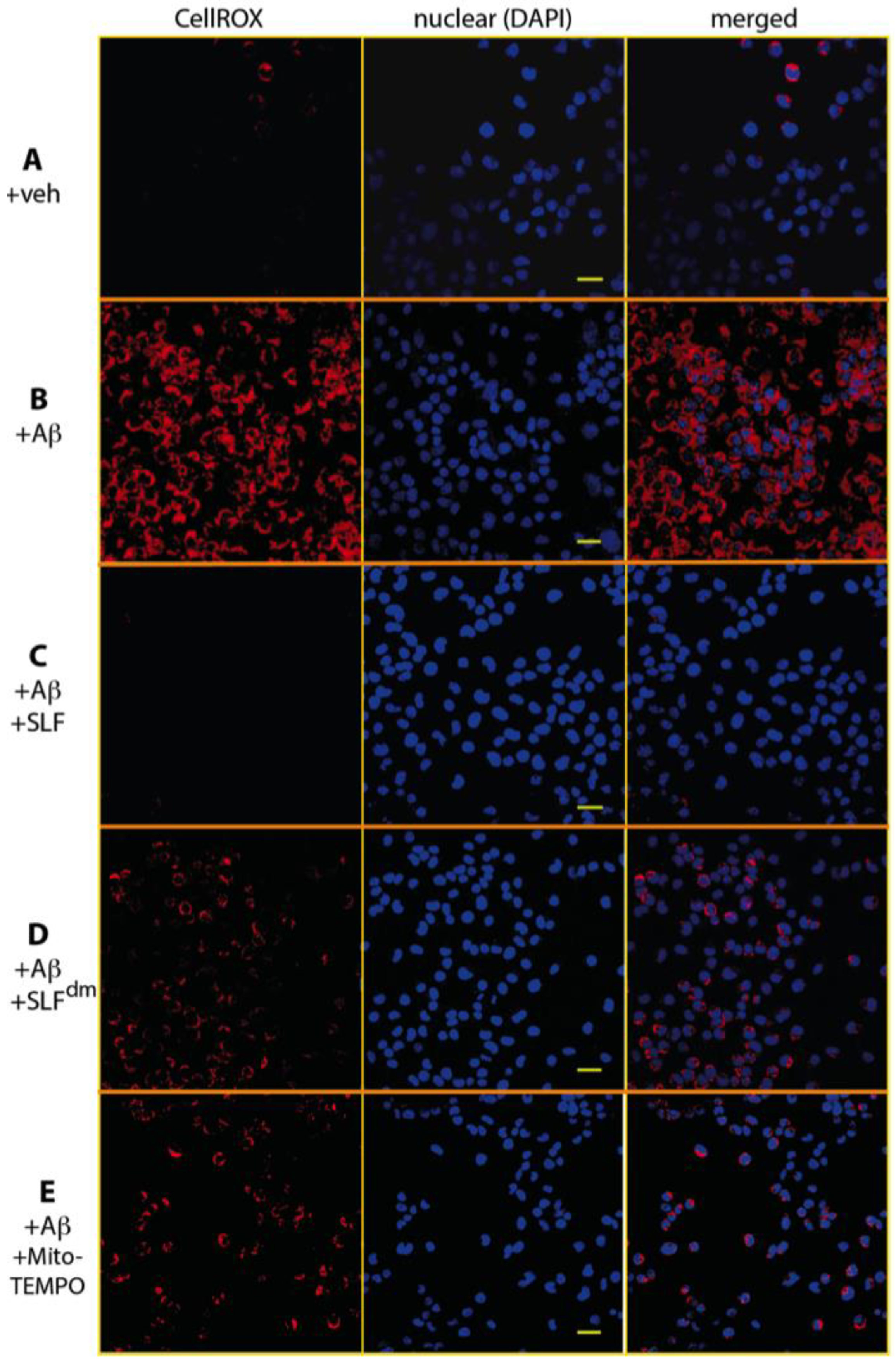 Molecules 23 02010 g005