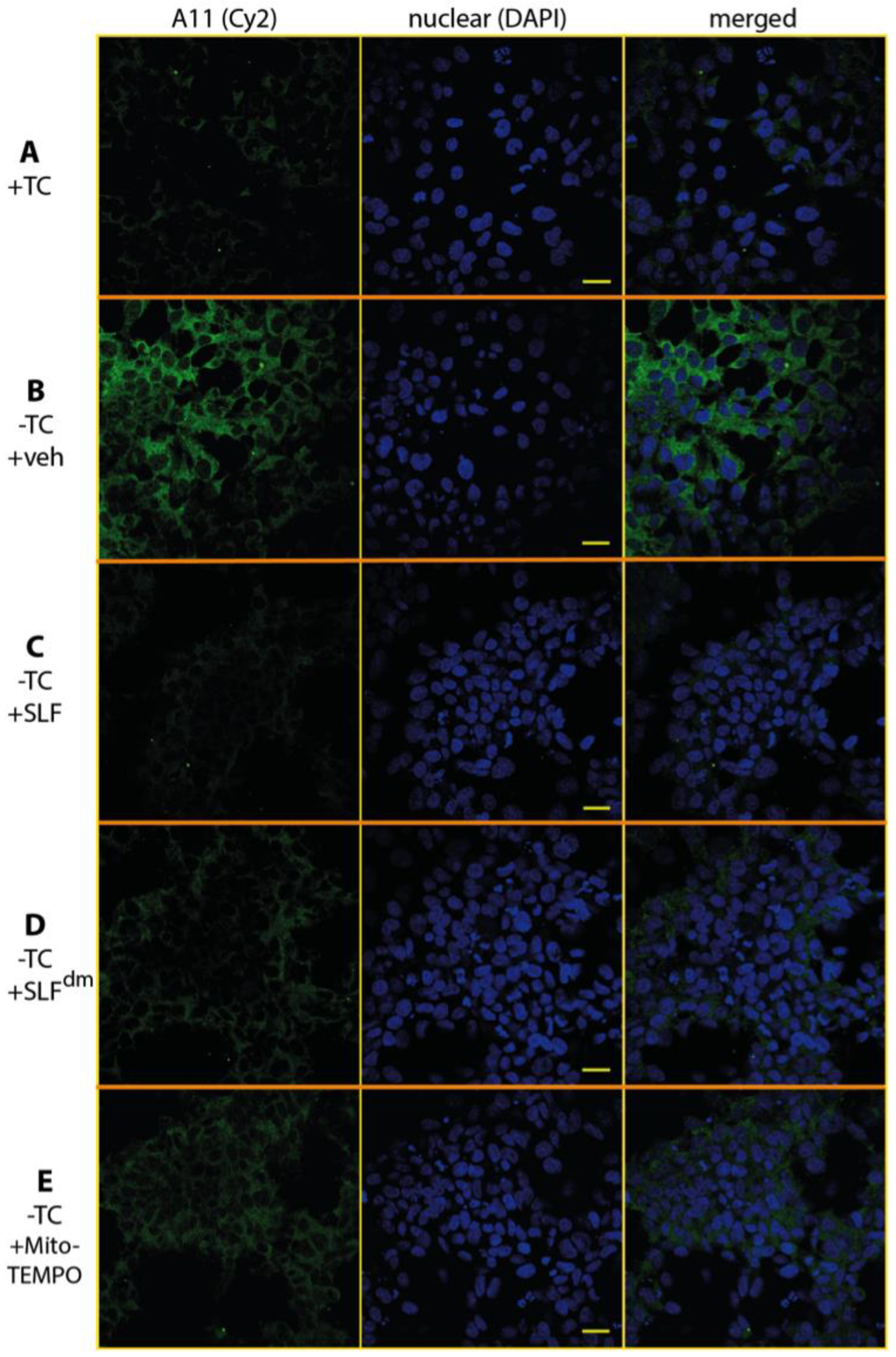 Molecules 23 02010 g008