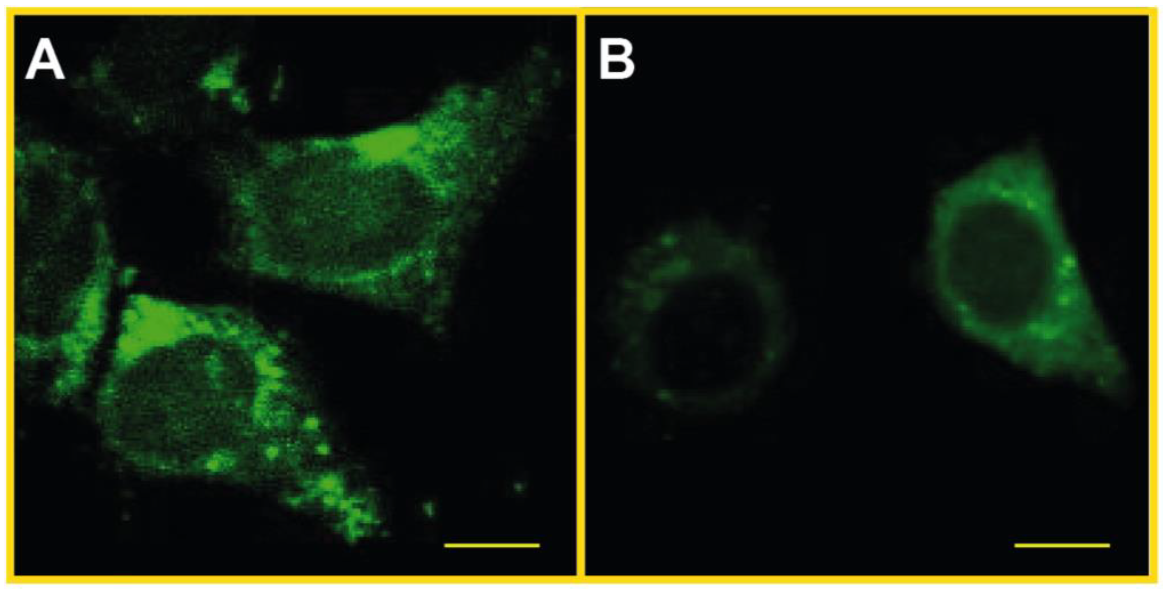 Molecules 23 02010 g011
