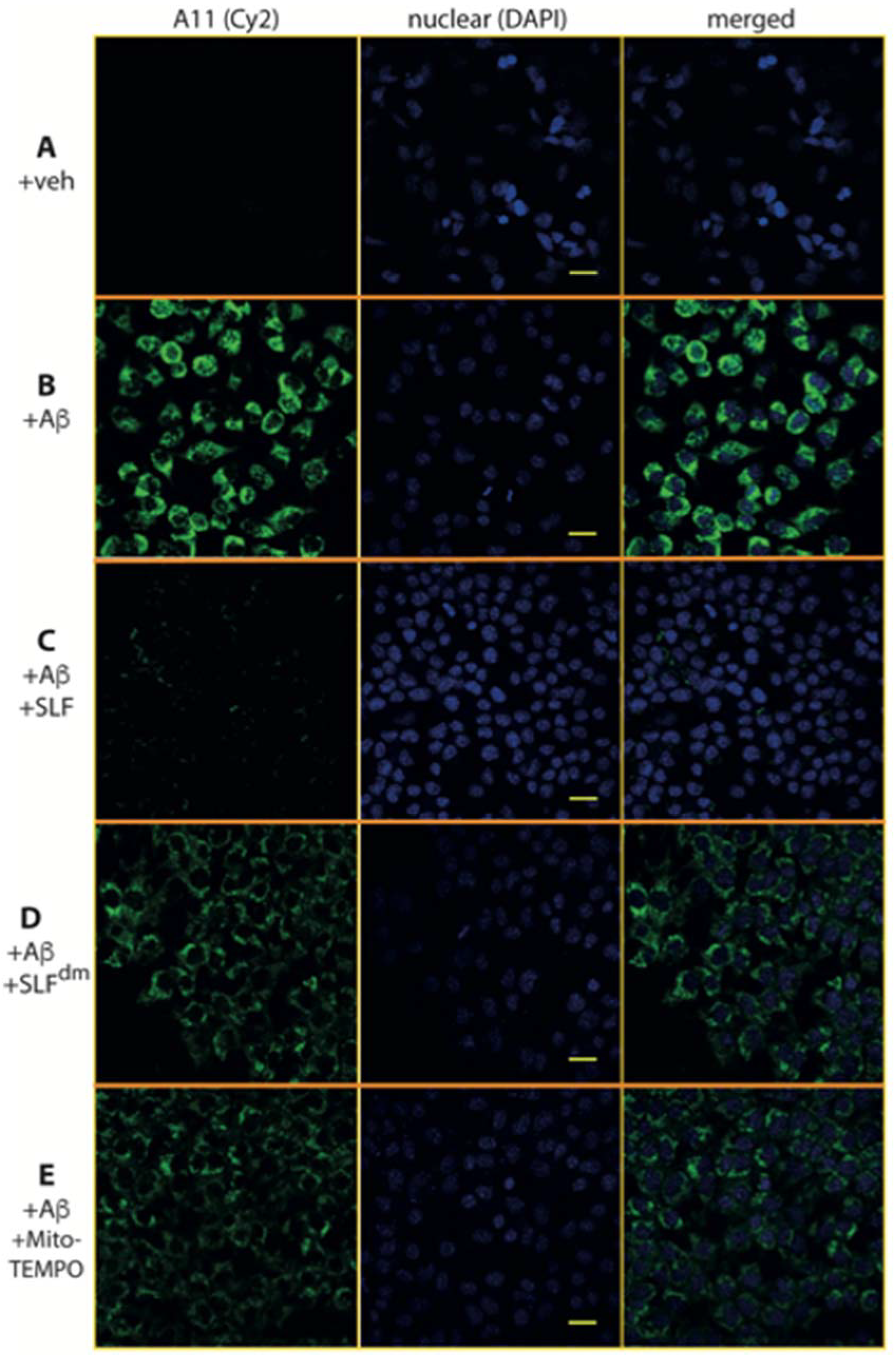 Molecules 23 02010 g012