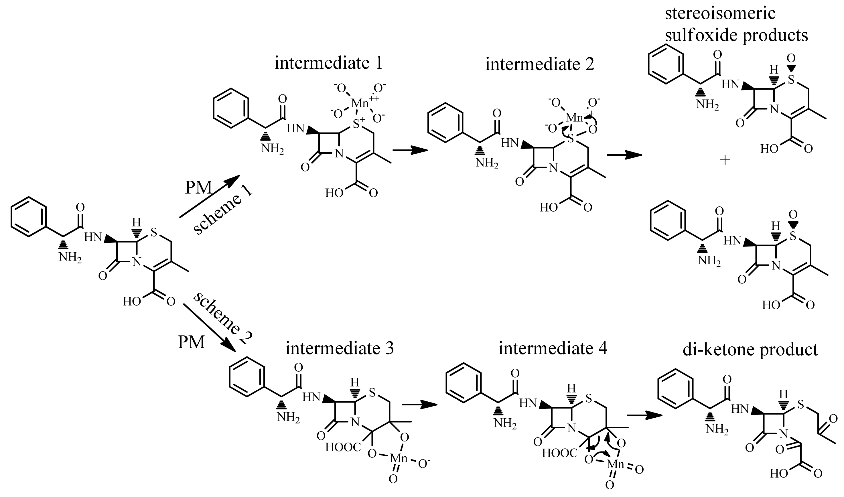 Molecules 23 02015 g005