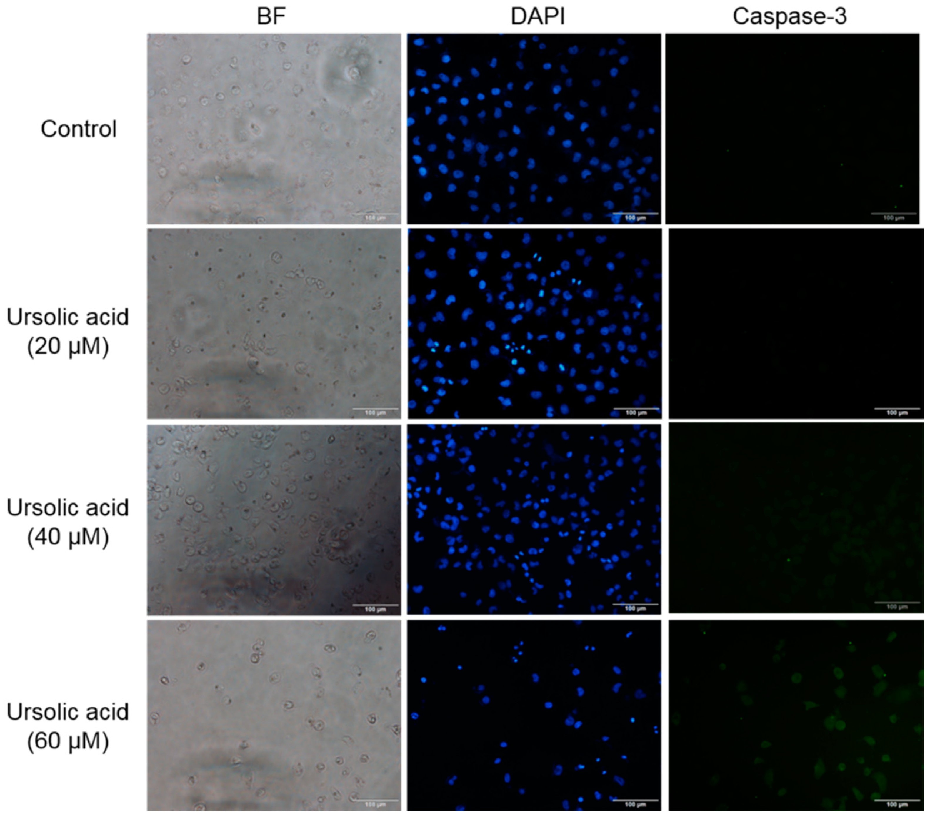 Molecules 23 02016 g006