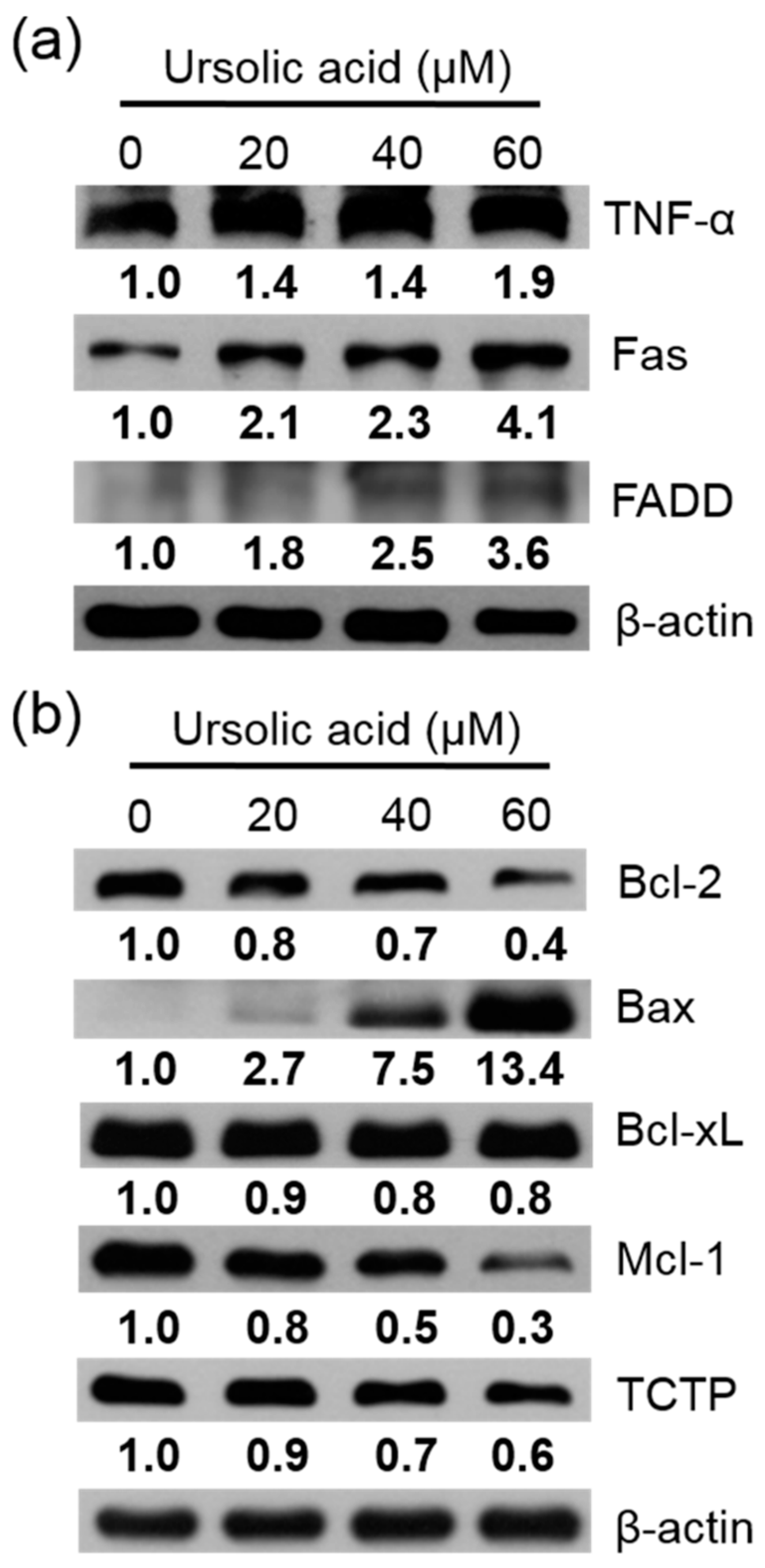 Molecules 23 02016 g007