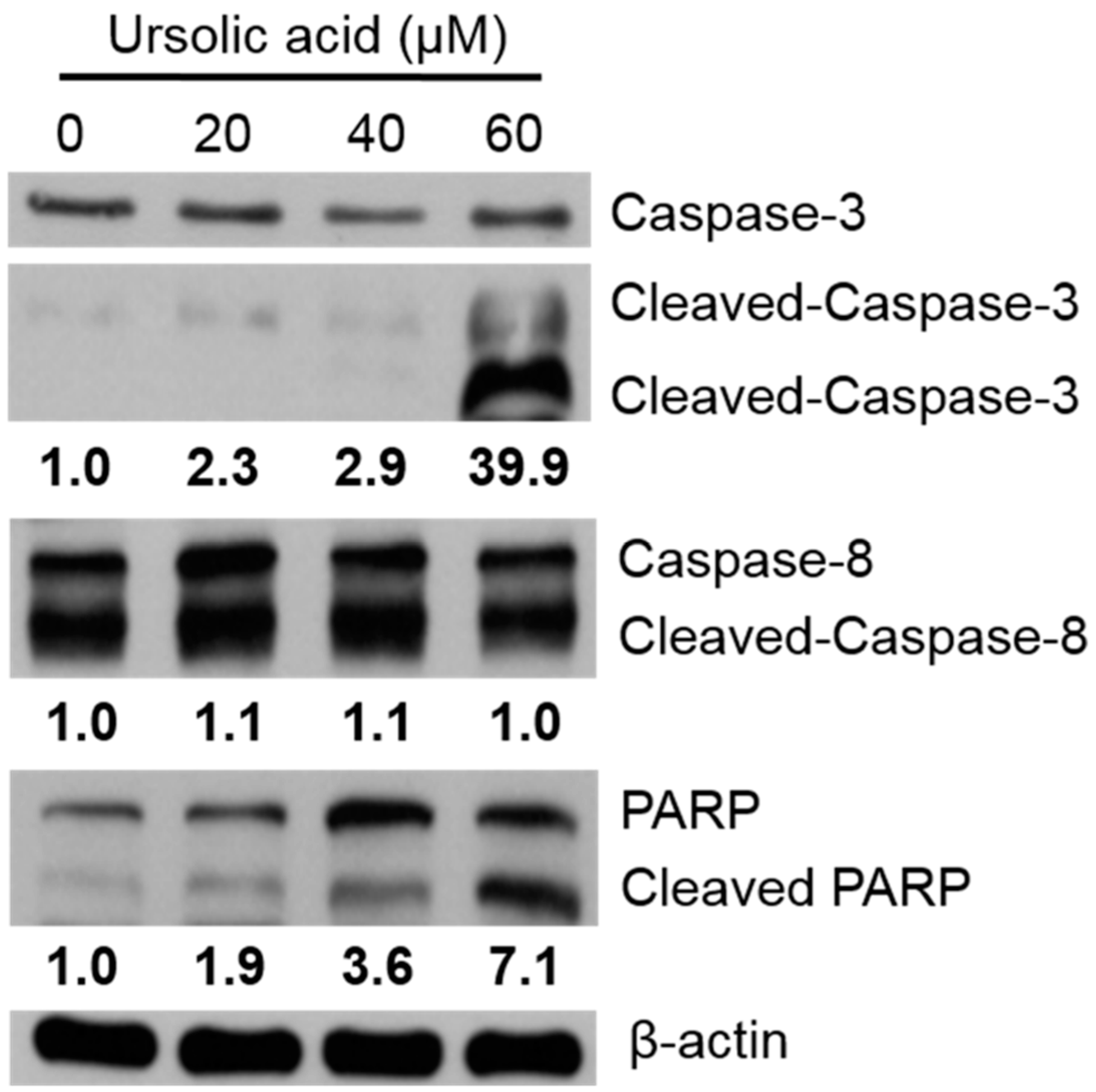 Molecules 23 02016 g008