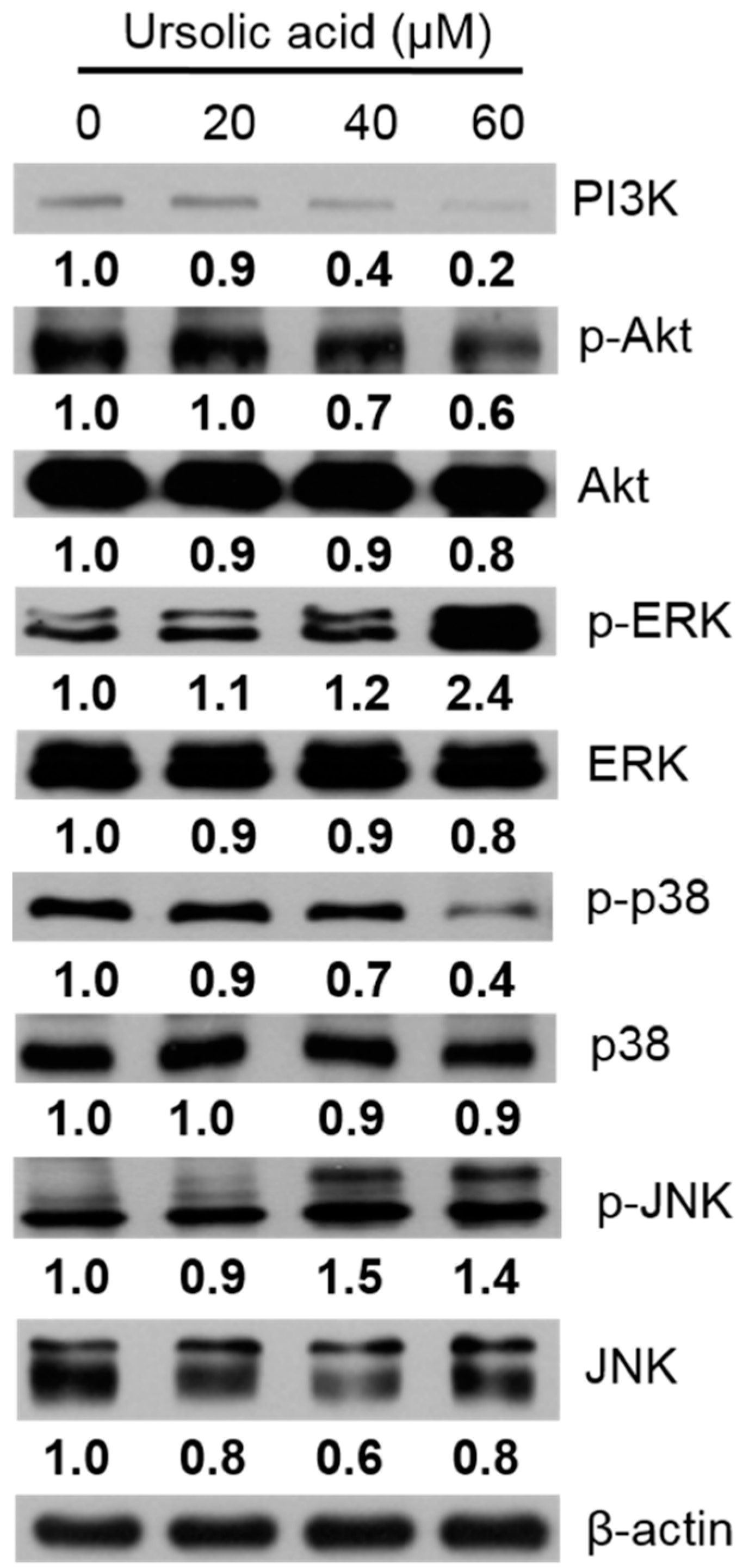Molecules 23 02016 g009