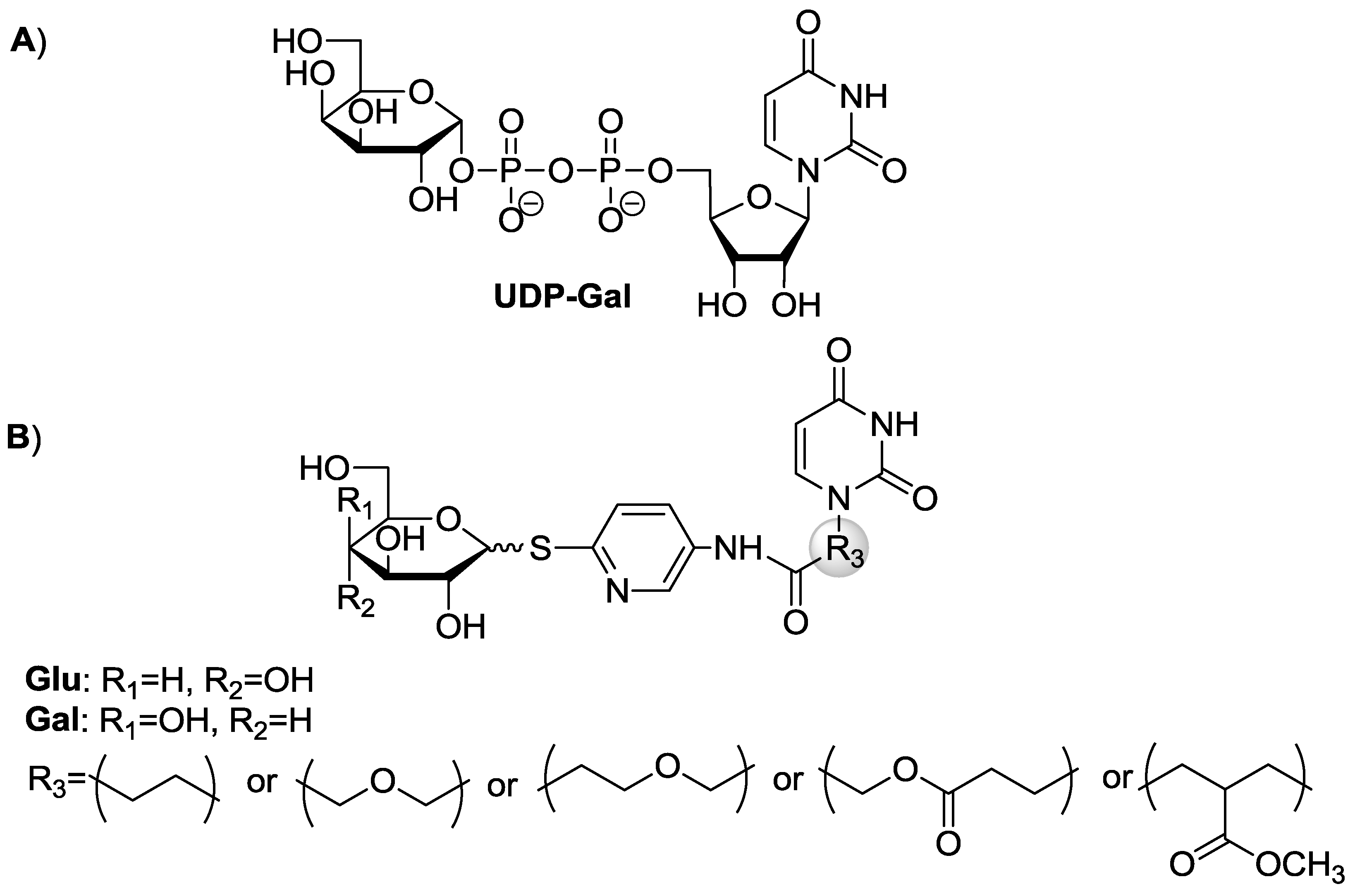 Molecules 23 02017 g001 Molecules 23 02017 g001