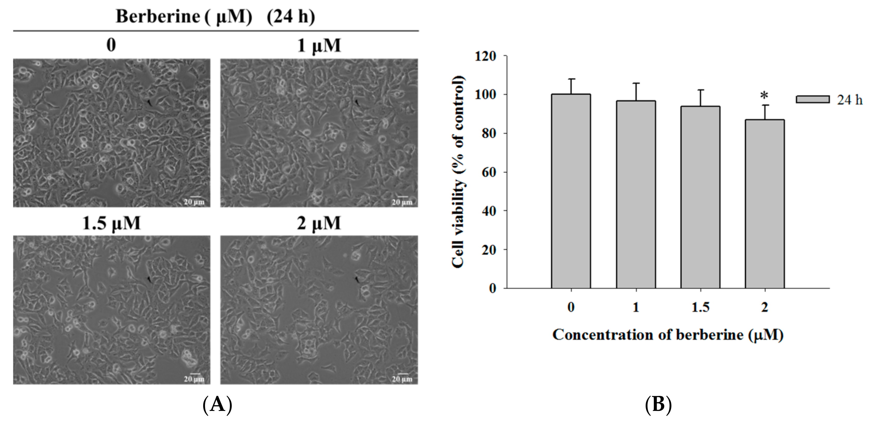 Molecules 23 02019 g001