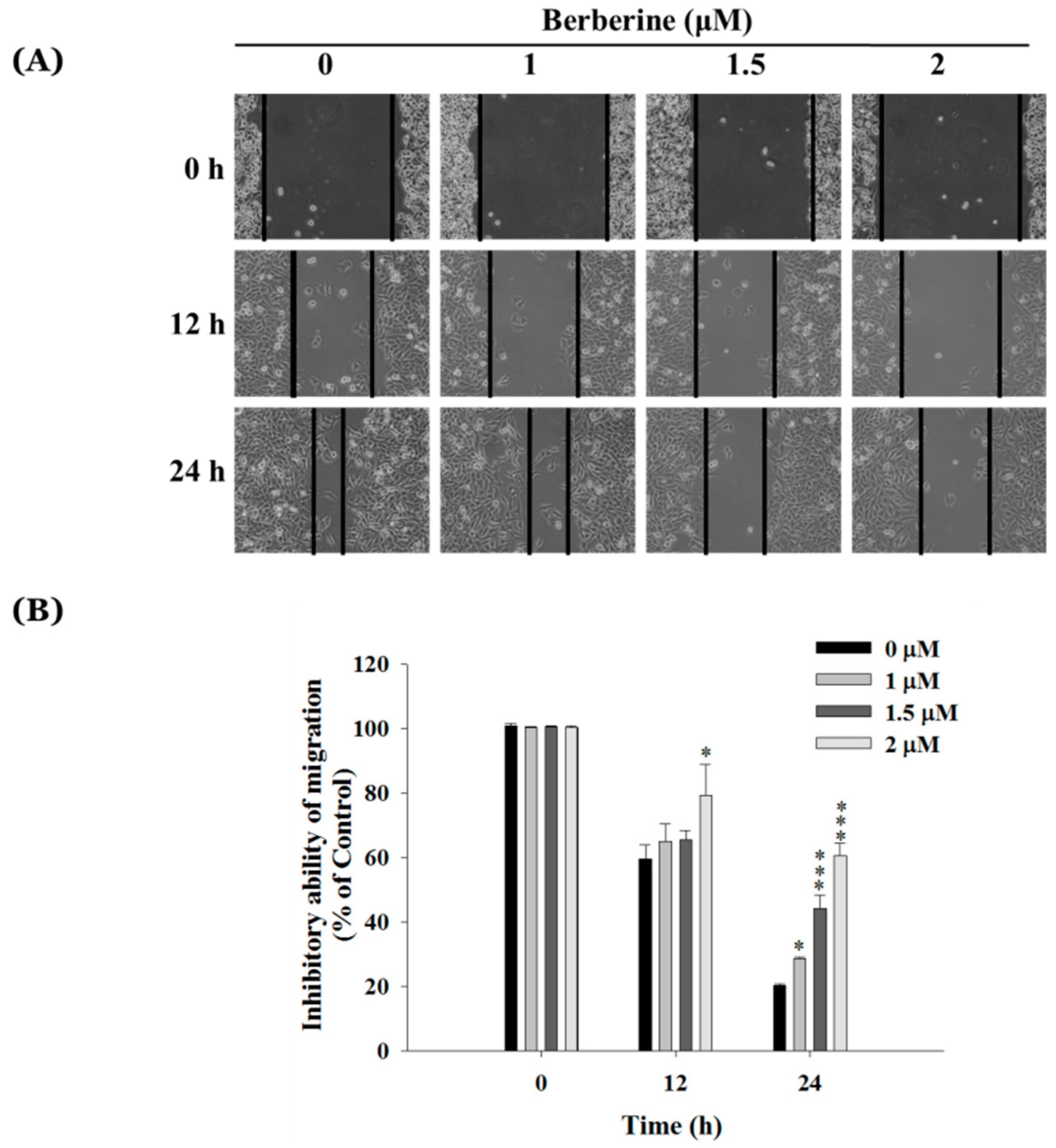 Molecules 23 02019 g002