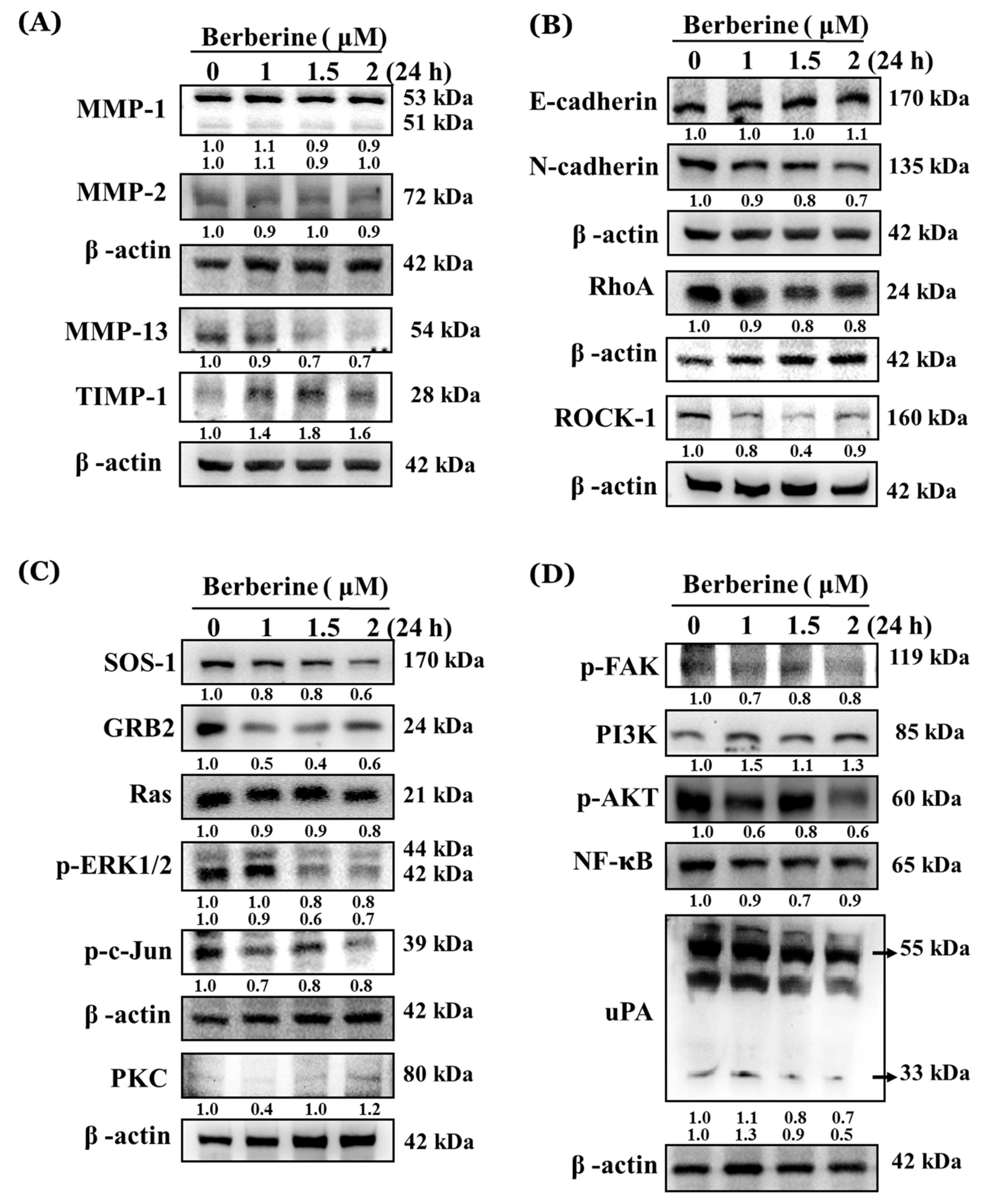 Molecules 23 02019 g004