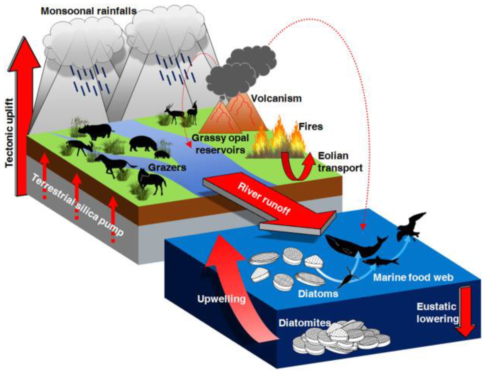 Molecules 23 02021 g002