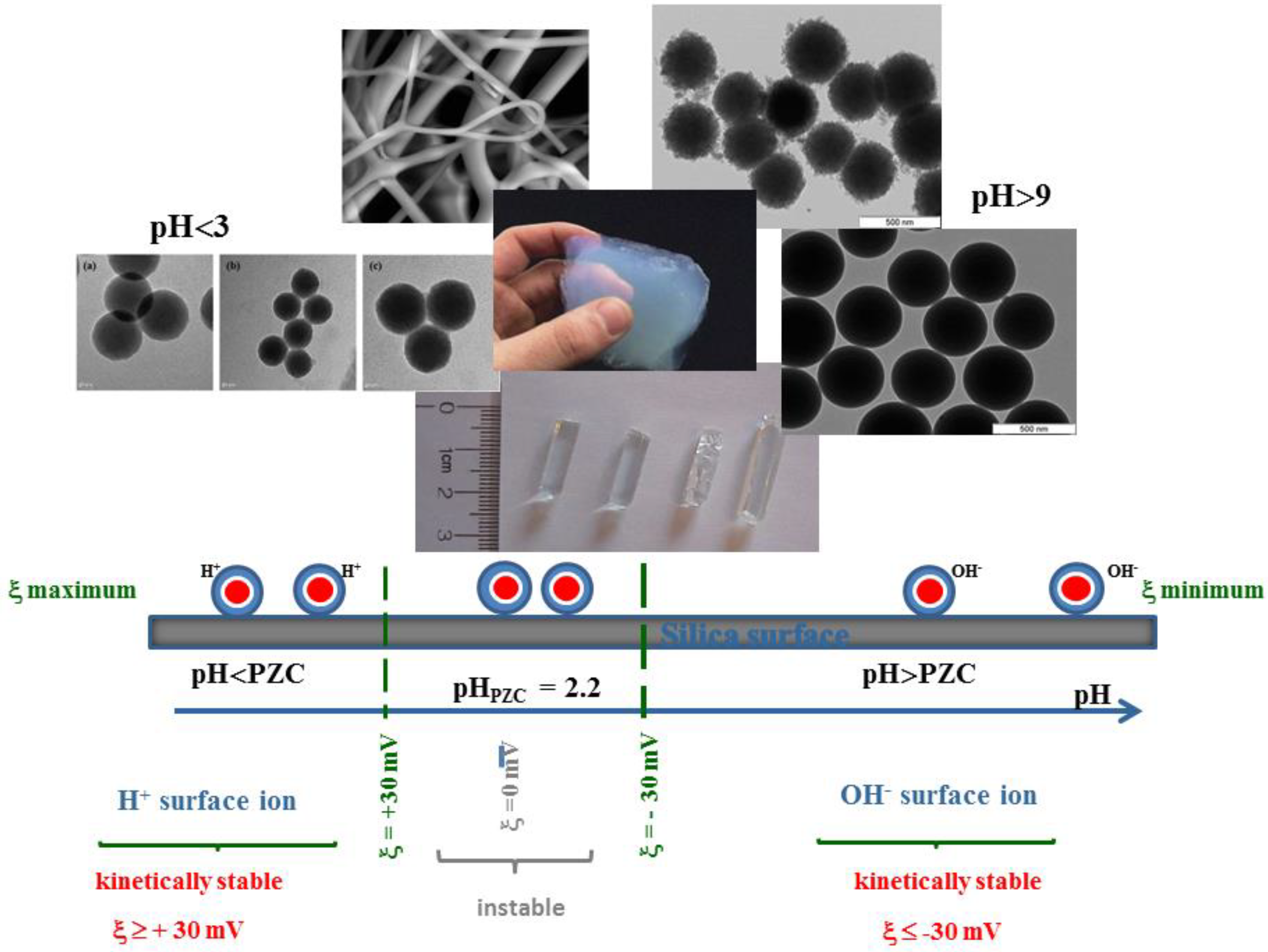 Molecules 23 02021 g007