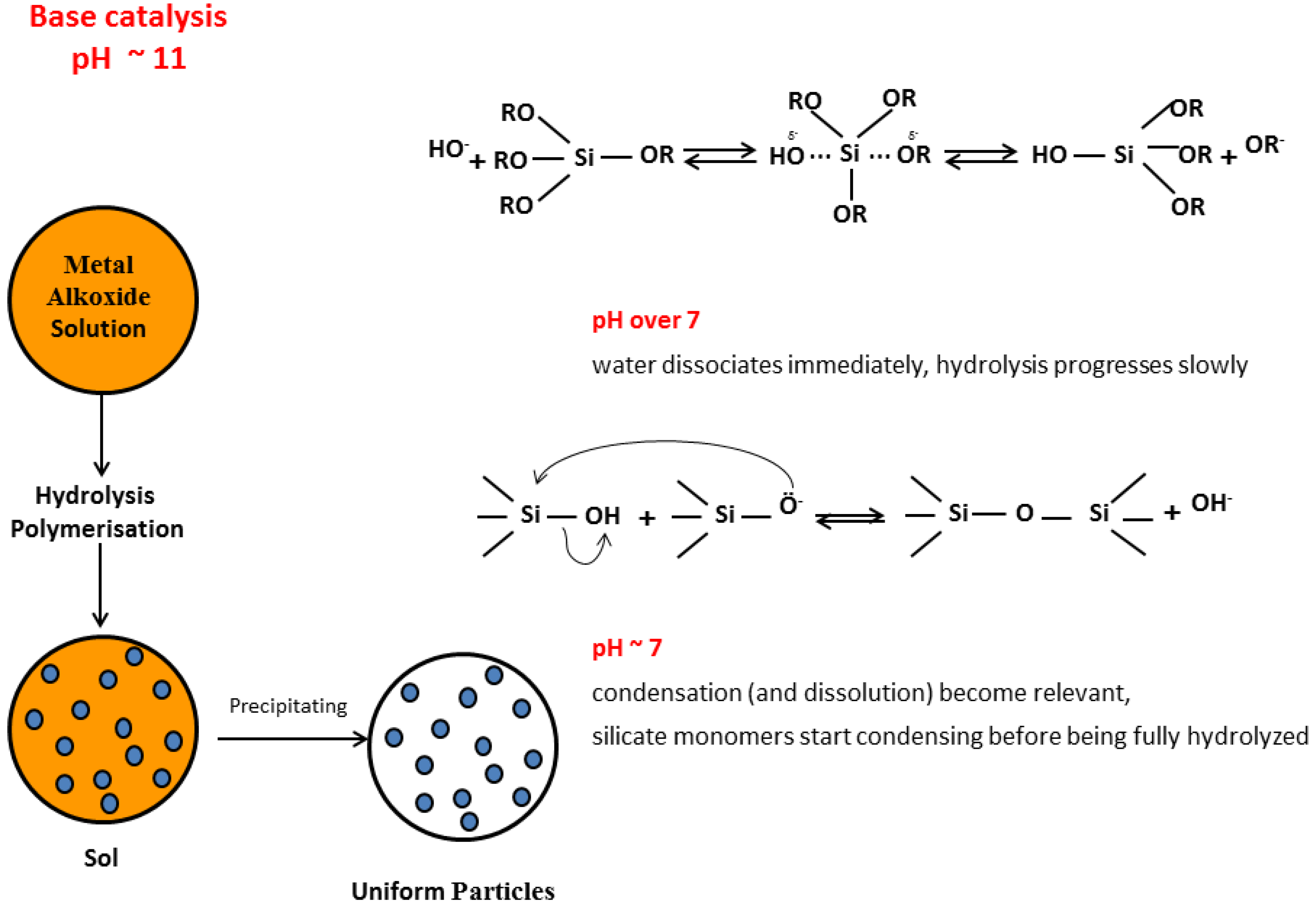 Molecules 23 02021 g008