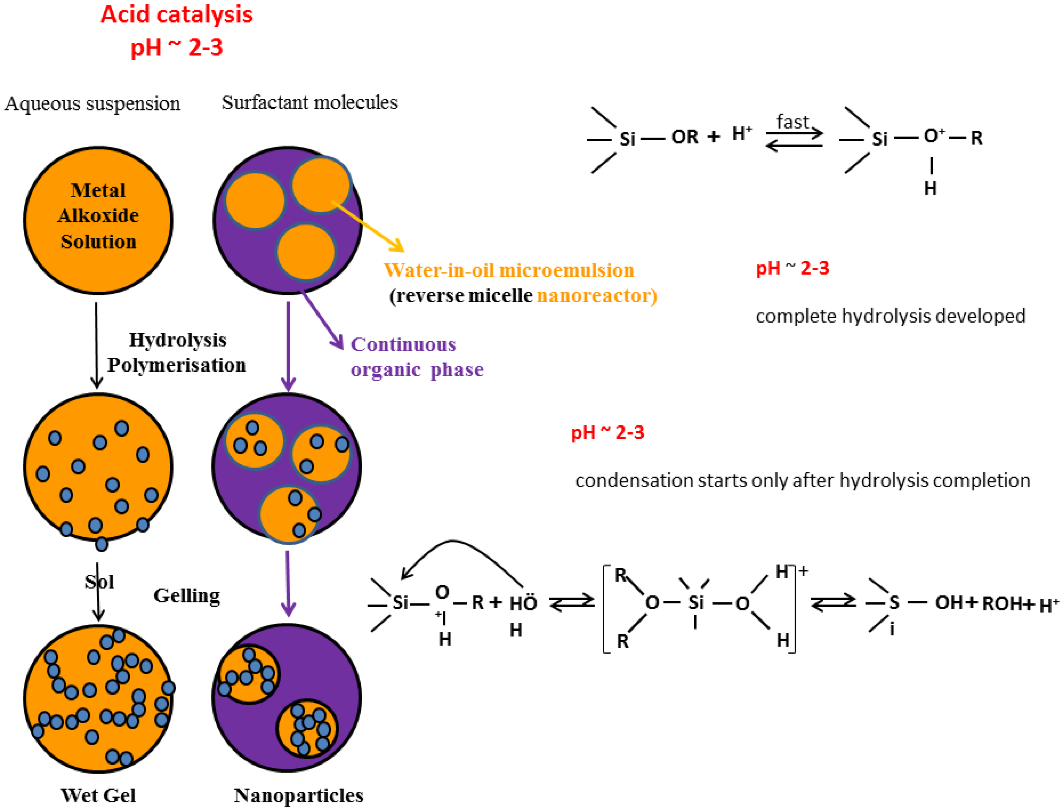 Molecules 23 02021 g009