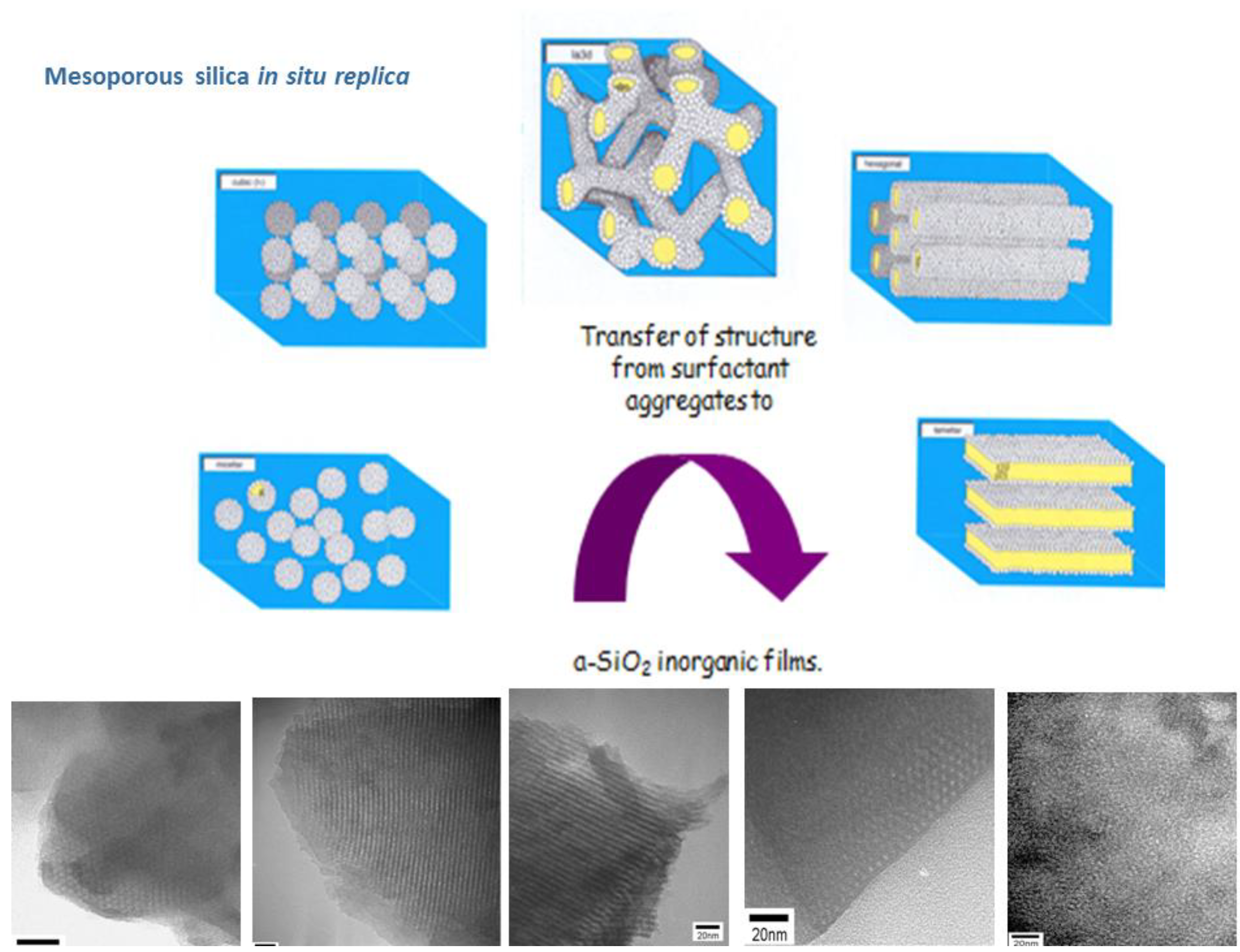 Molecules 23 02021 g011