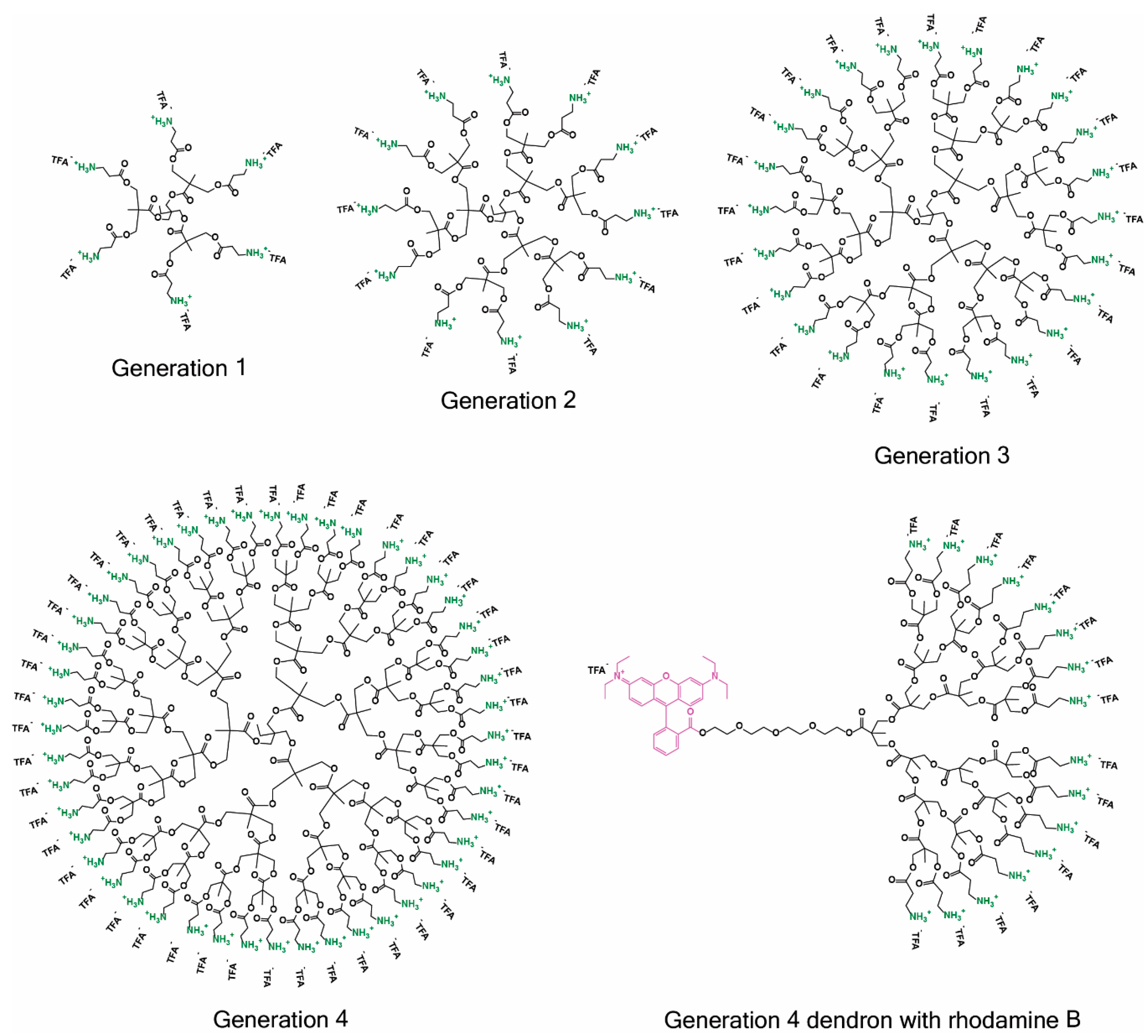 Molecules 23 02028 g001