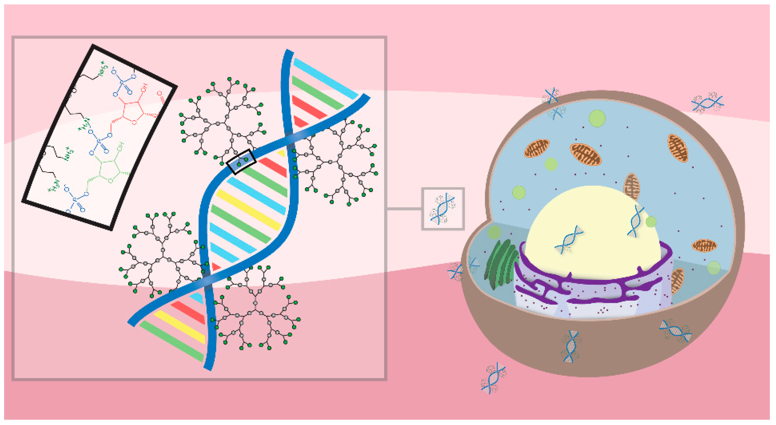 Molecules 23 02028 g006