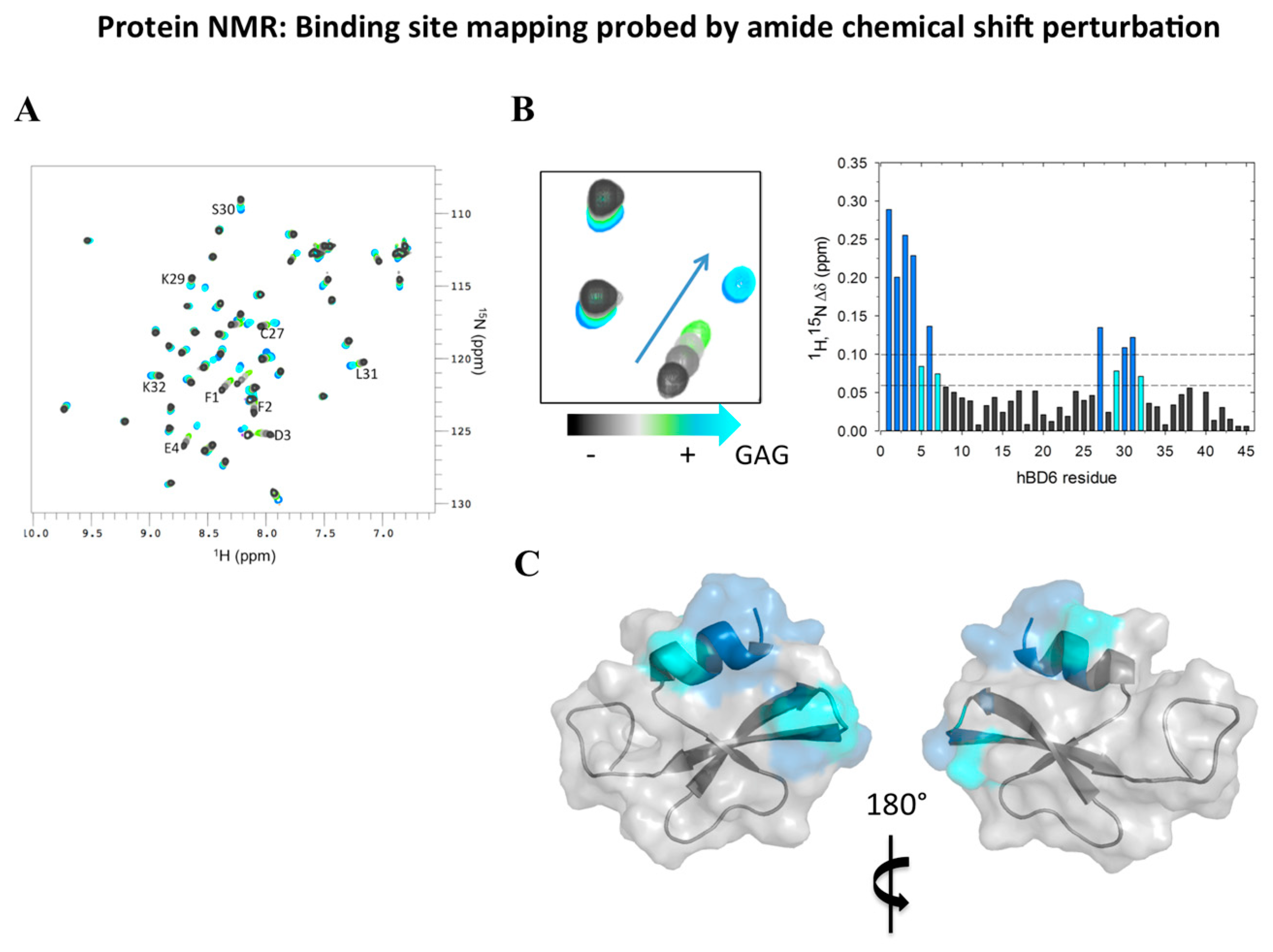 Molecules 23 02040 g004