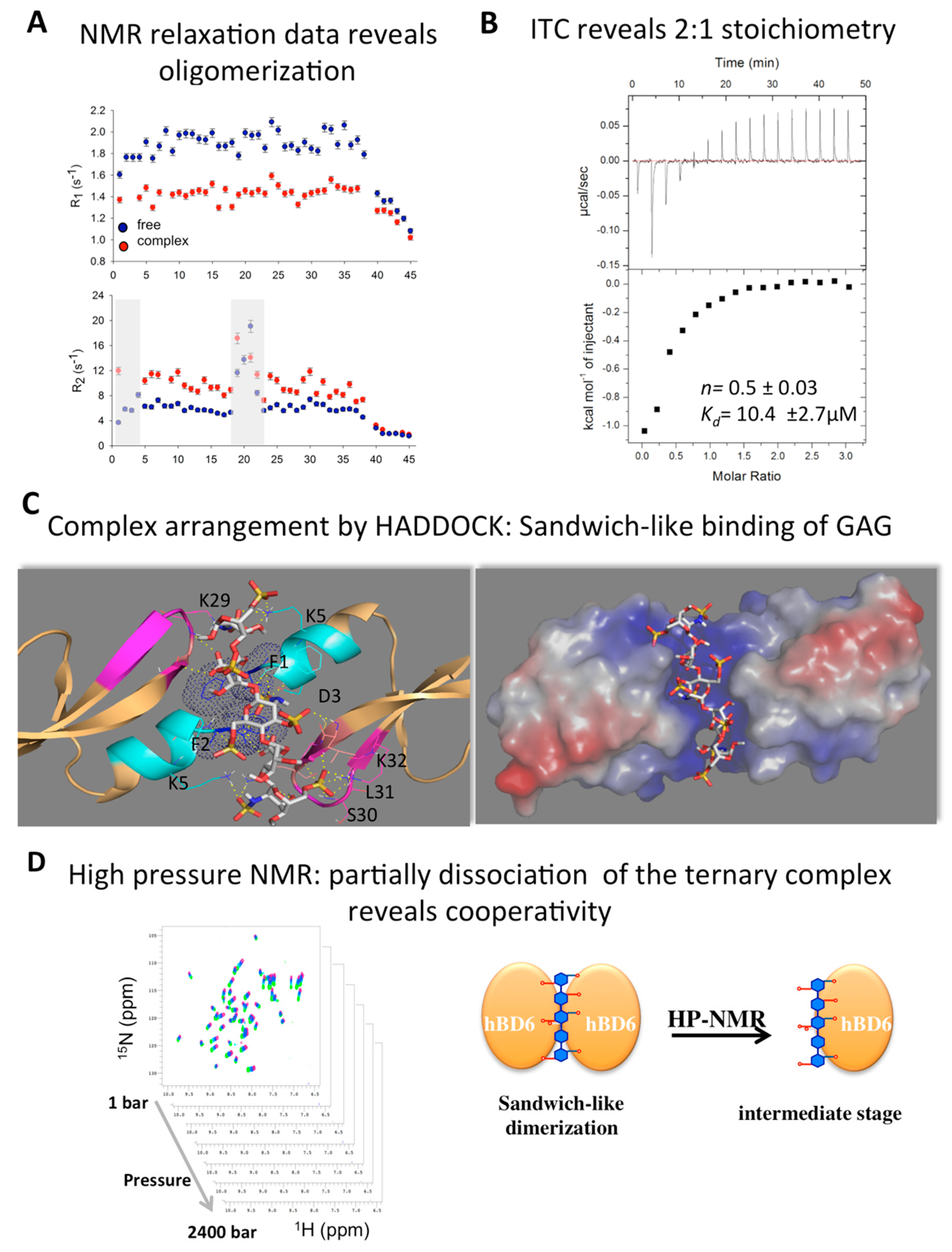 Molecules 23 02040 g006
