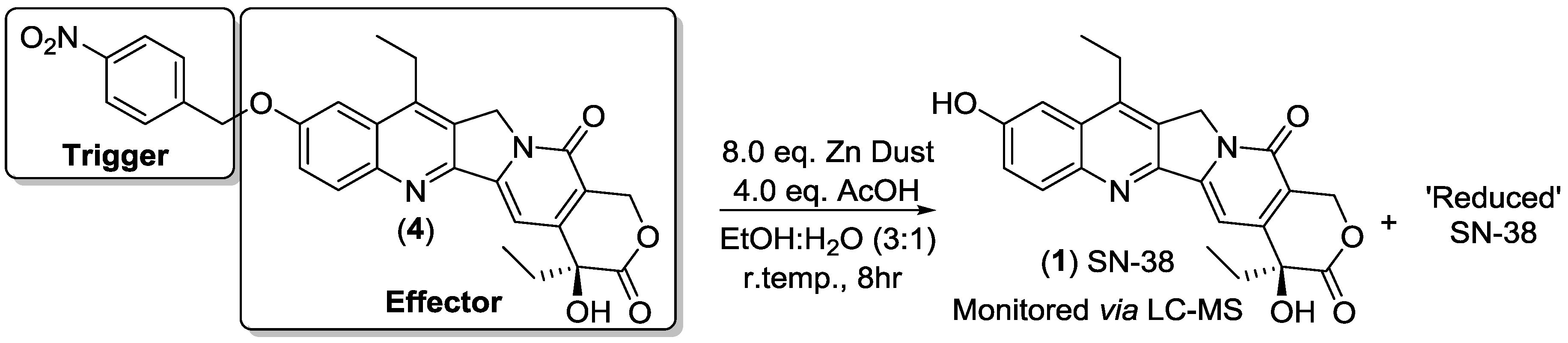 Molecules 23 02041 sch002 Molecules 23 02041 sch002