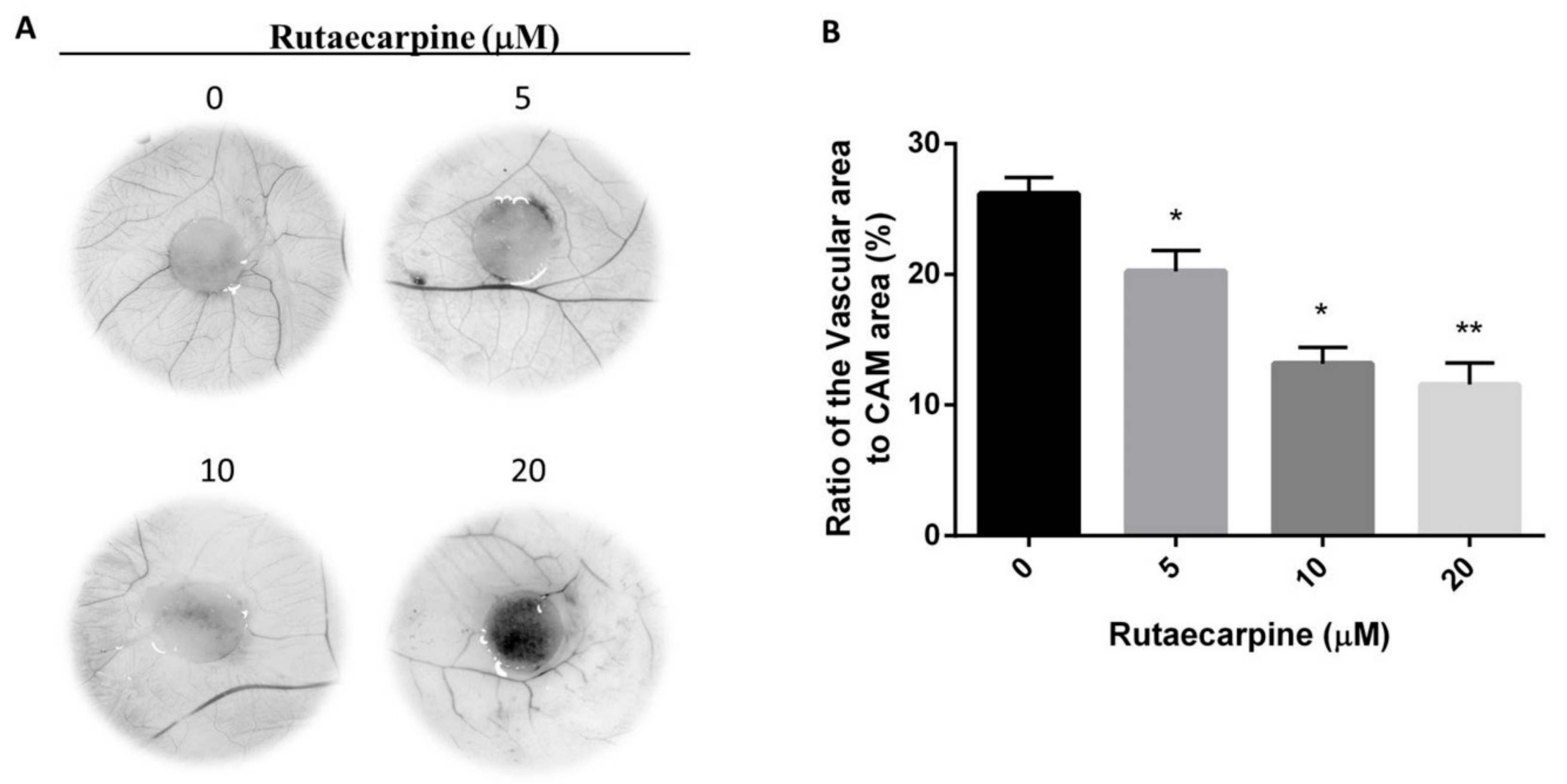 Molecules 23 02047 g004
