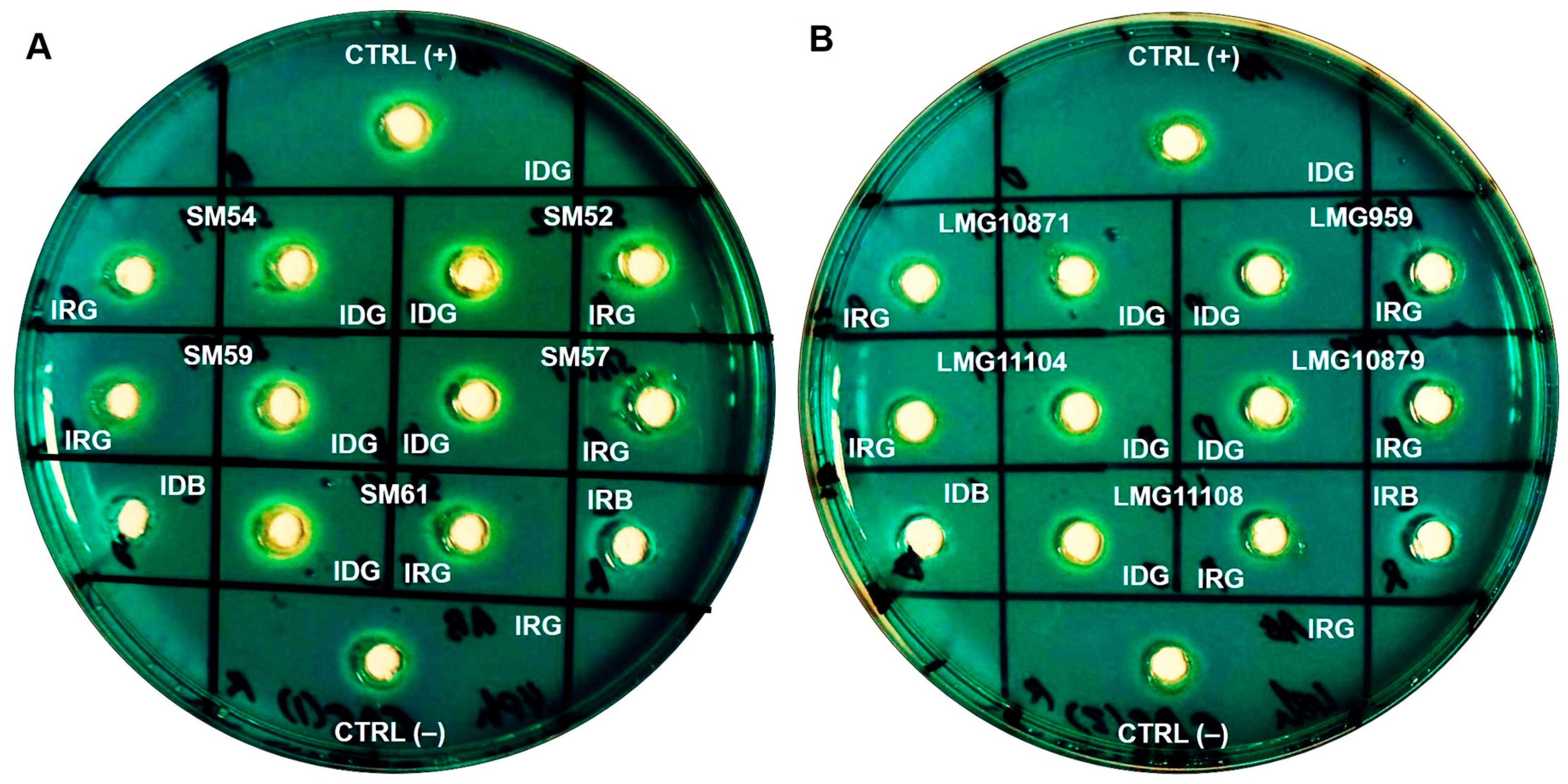 Molecules 23 02048 g002