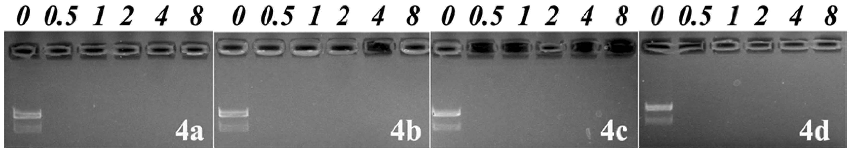 Molecules 23 02061 g001 Molecules 23 02061 g001
