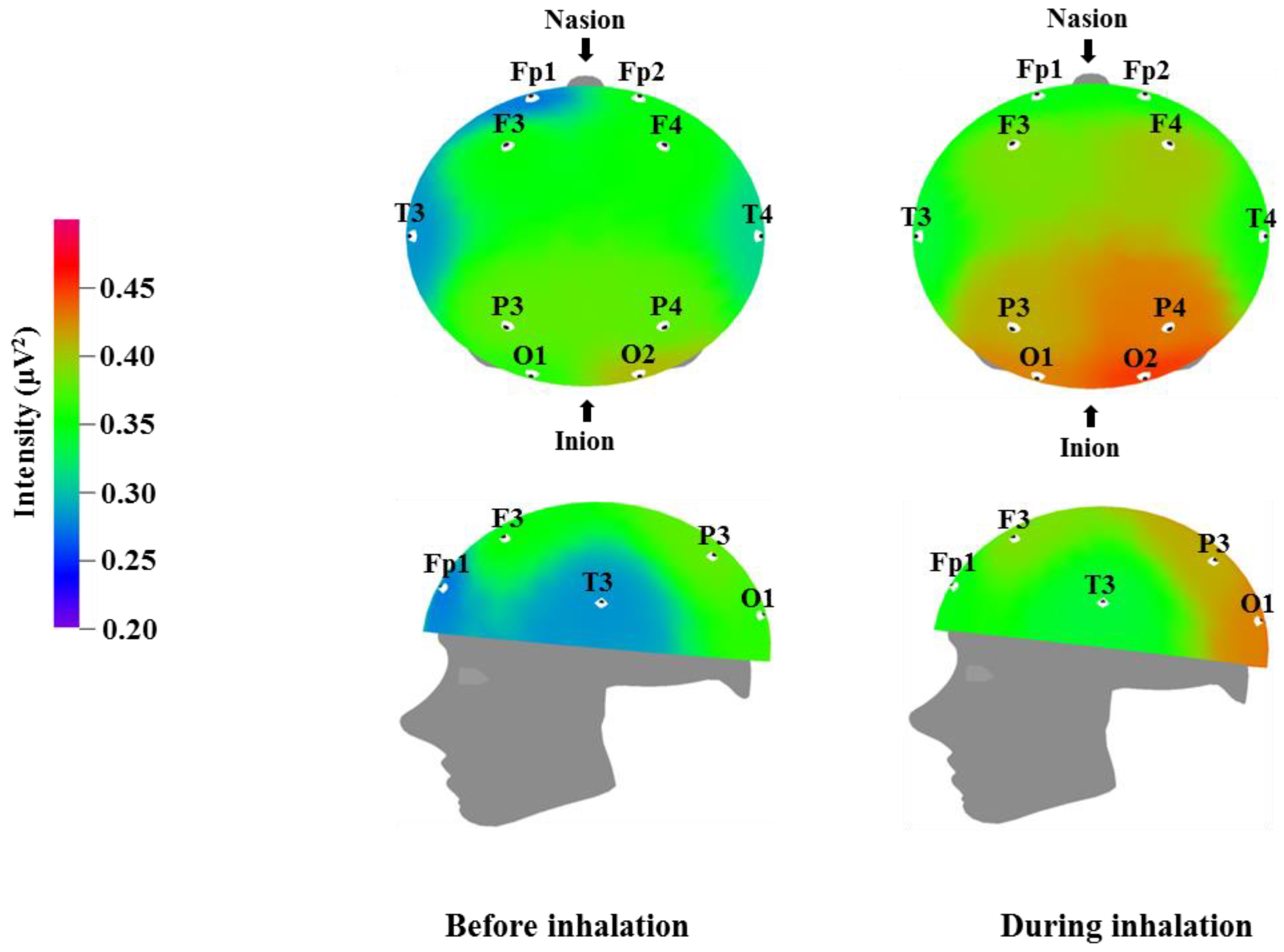 Molecules 23 02063 g002
