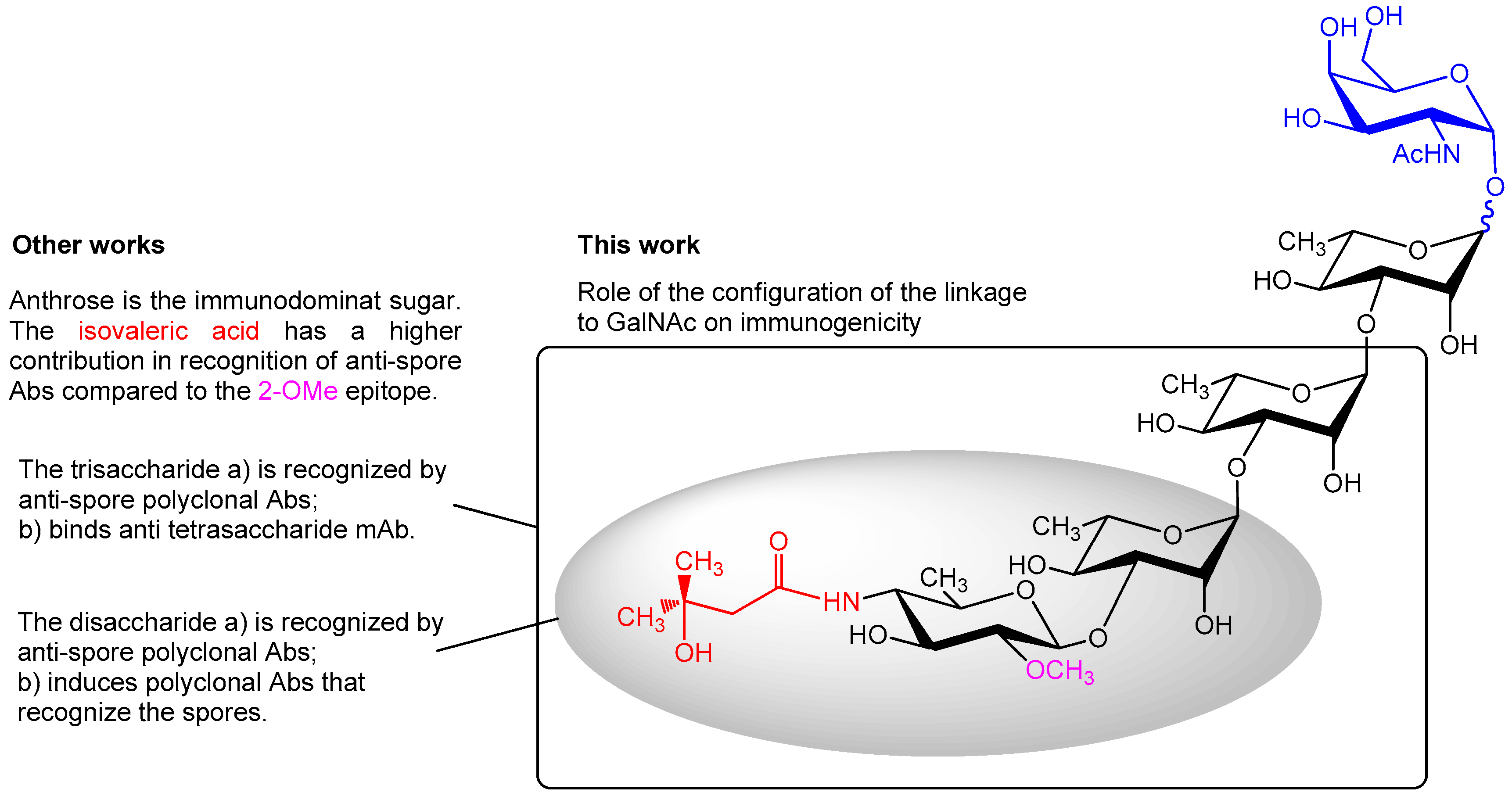 Molecules 23 02079 g001
