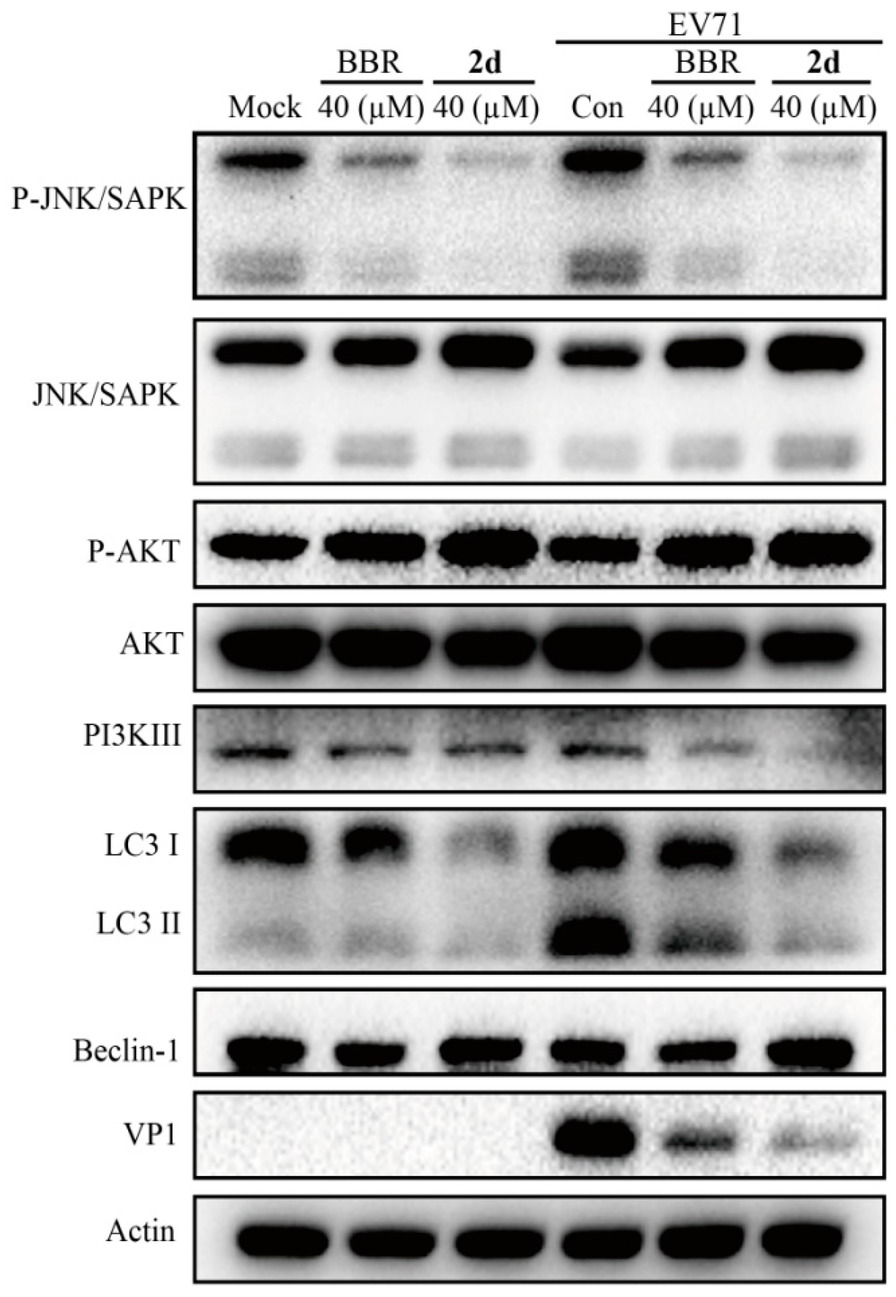 Molecules 23 02084 g004