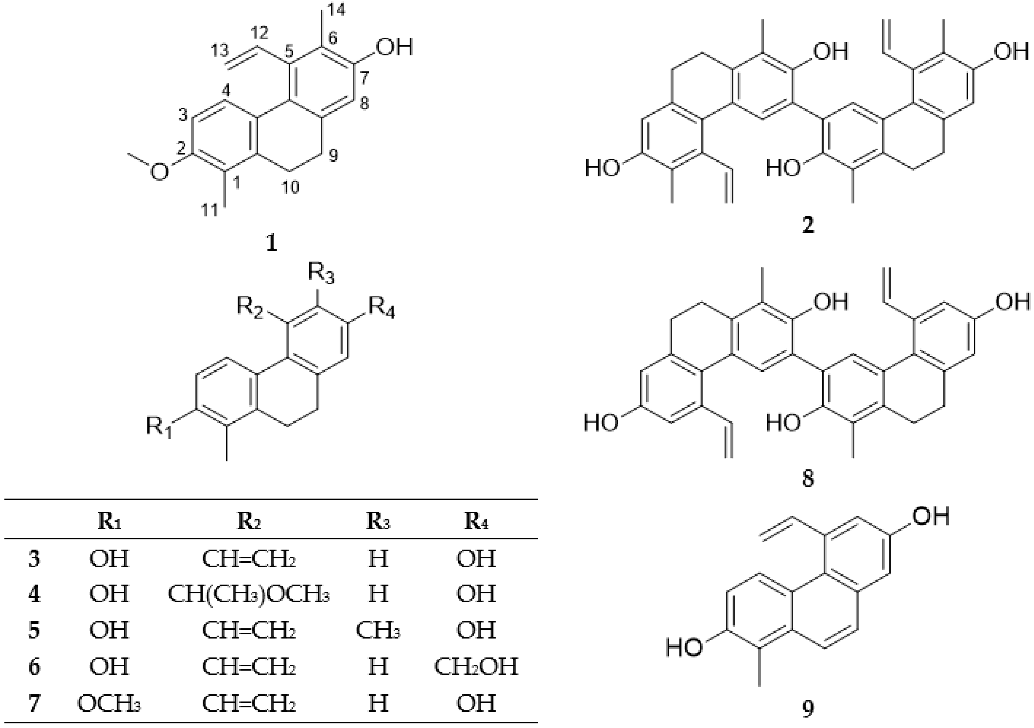 Molecules 23 02085 g001