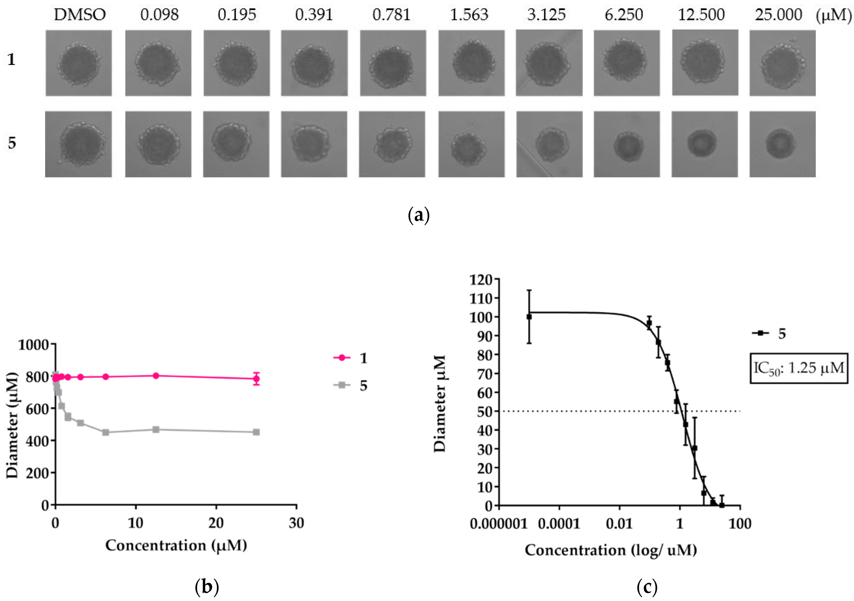 Molecules 23 02126 g008
