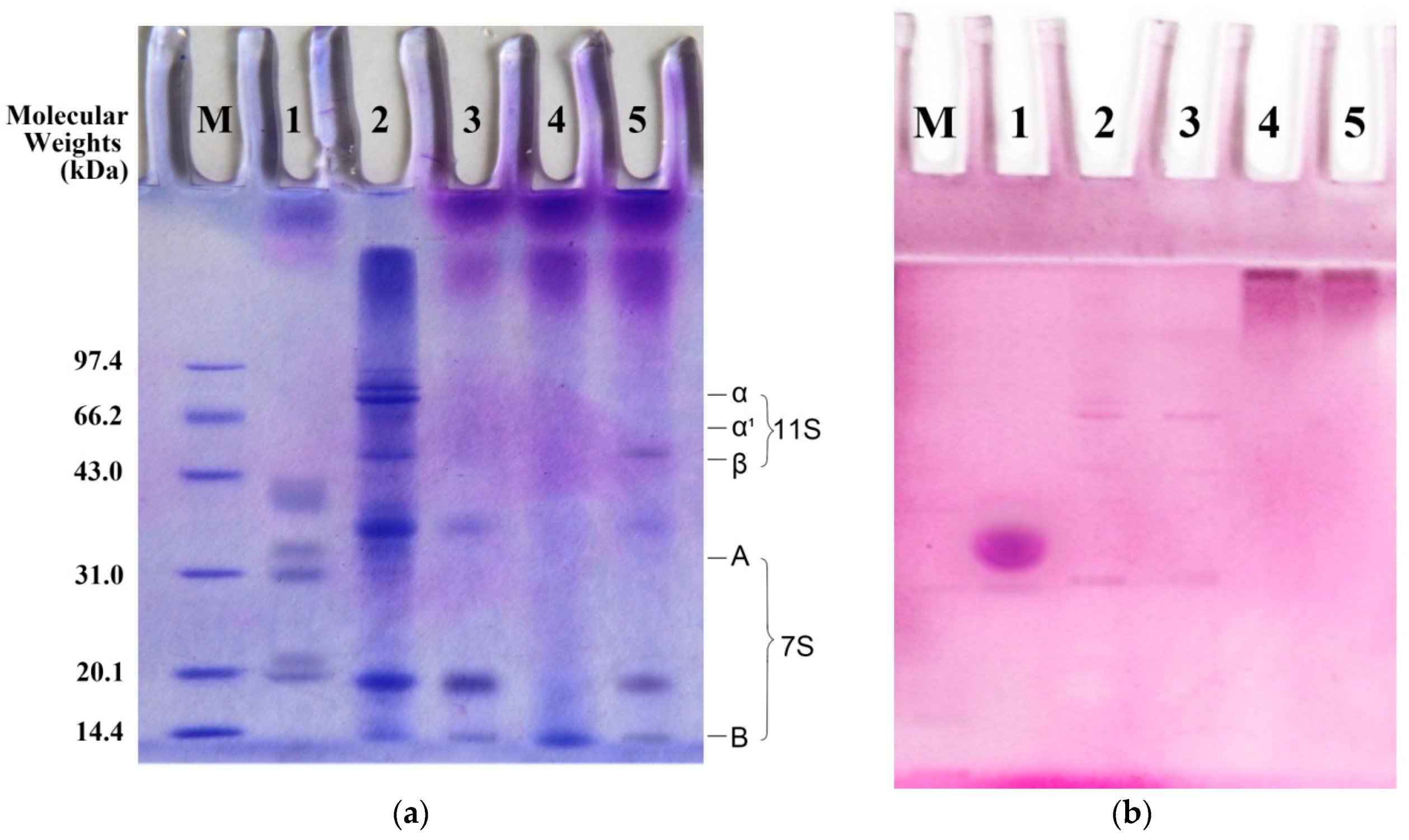 Molecules 23 02127 g001