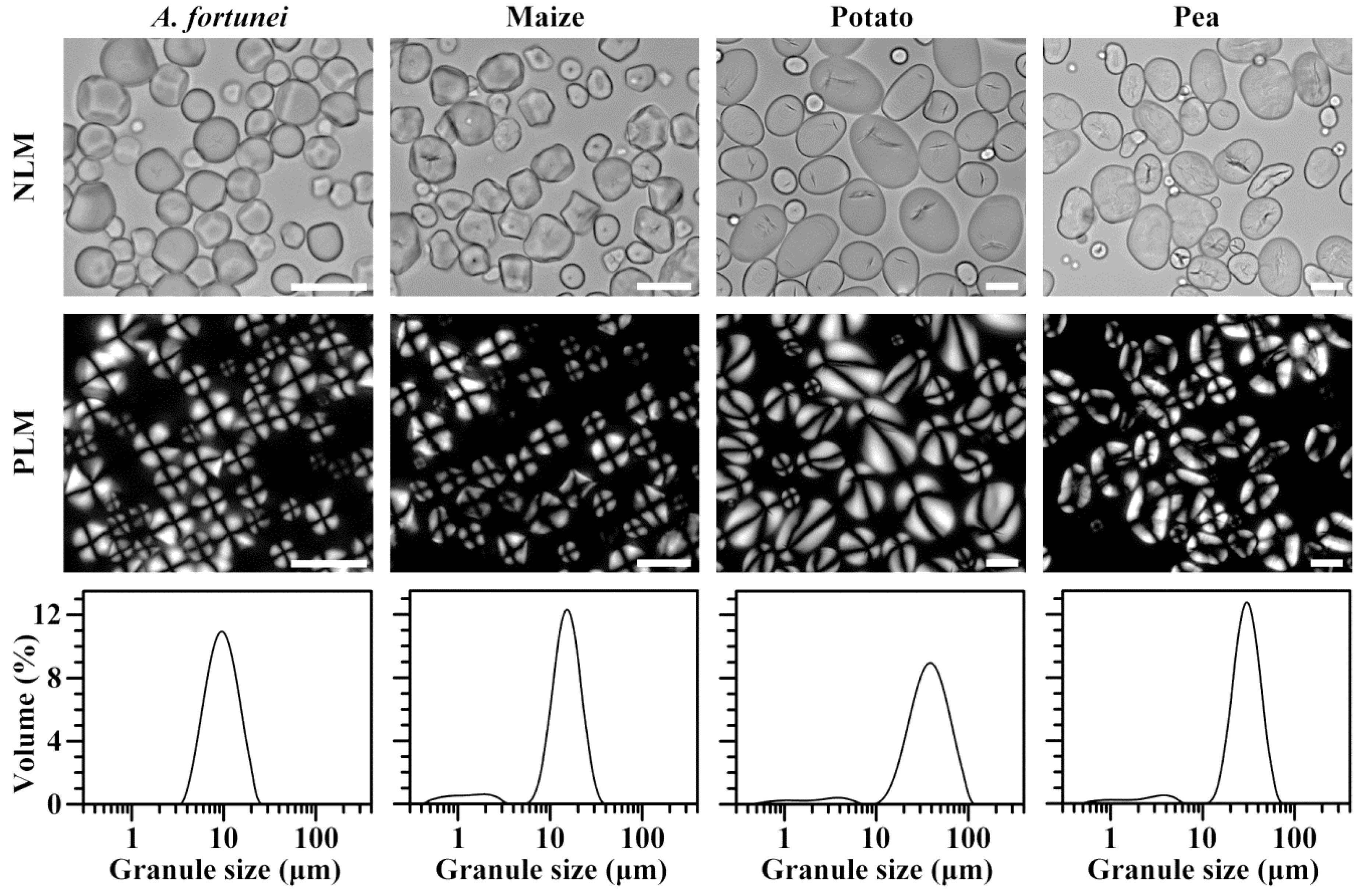 Molecules 23 02132 g001 Molecules 23 02132 g001