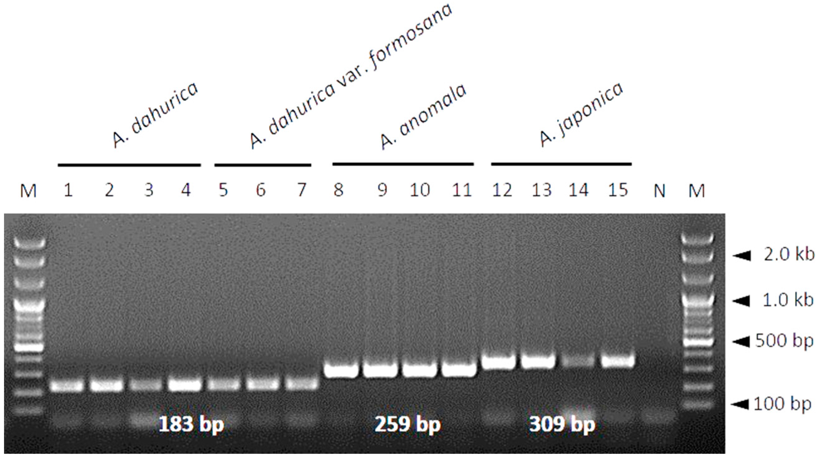 Molecules 23 02134 g003