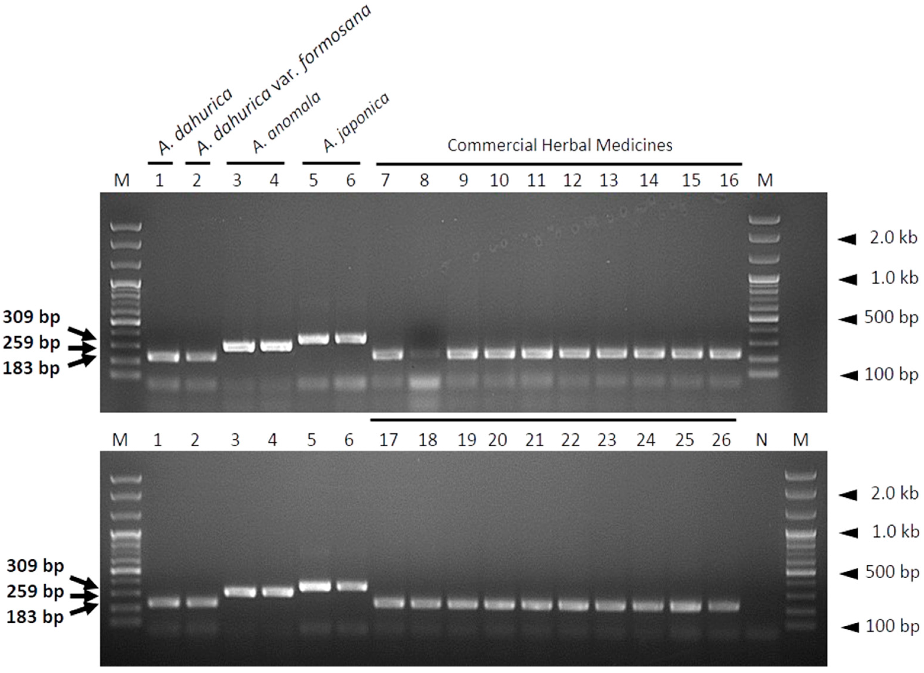 Molecules 23 02134 g005
