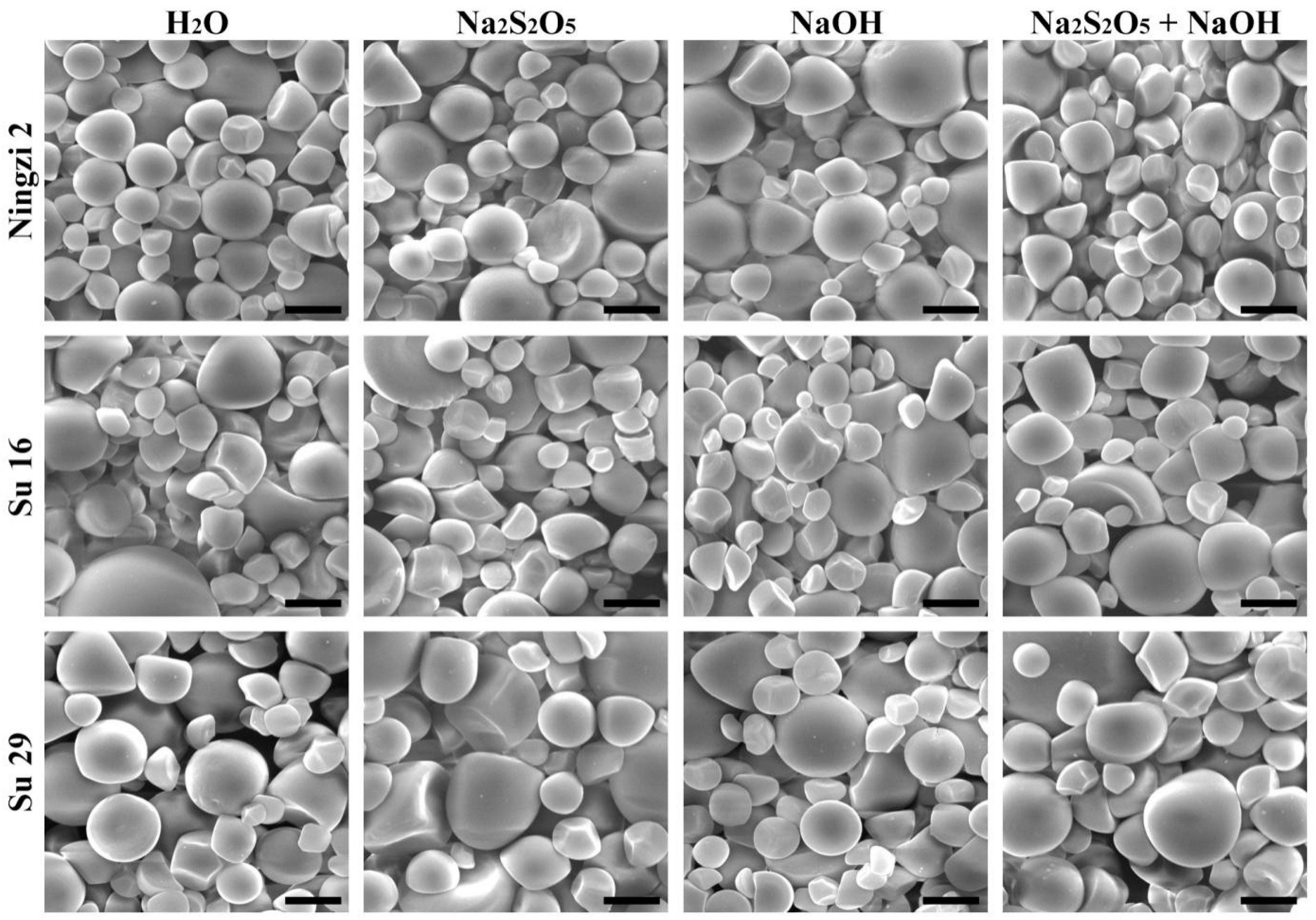 Molecules 23 02135 g001 Molecules 23 02135 g001