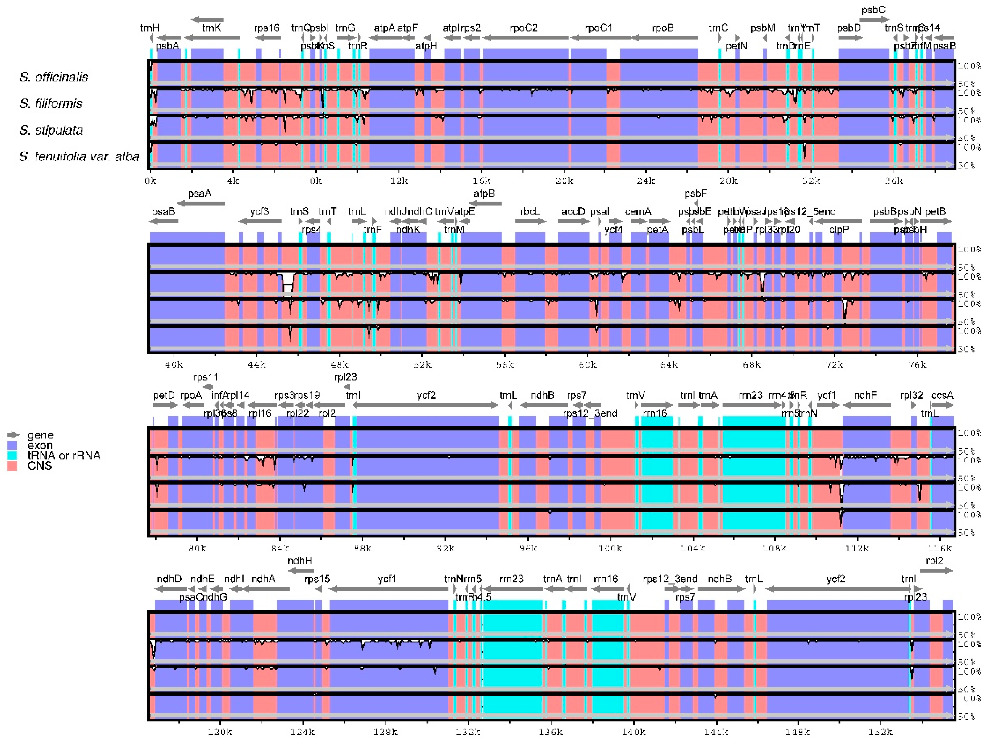 Molecules 23 02137 g003 Molecules 23 02137 g003