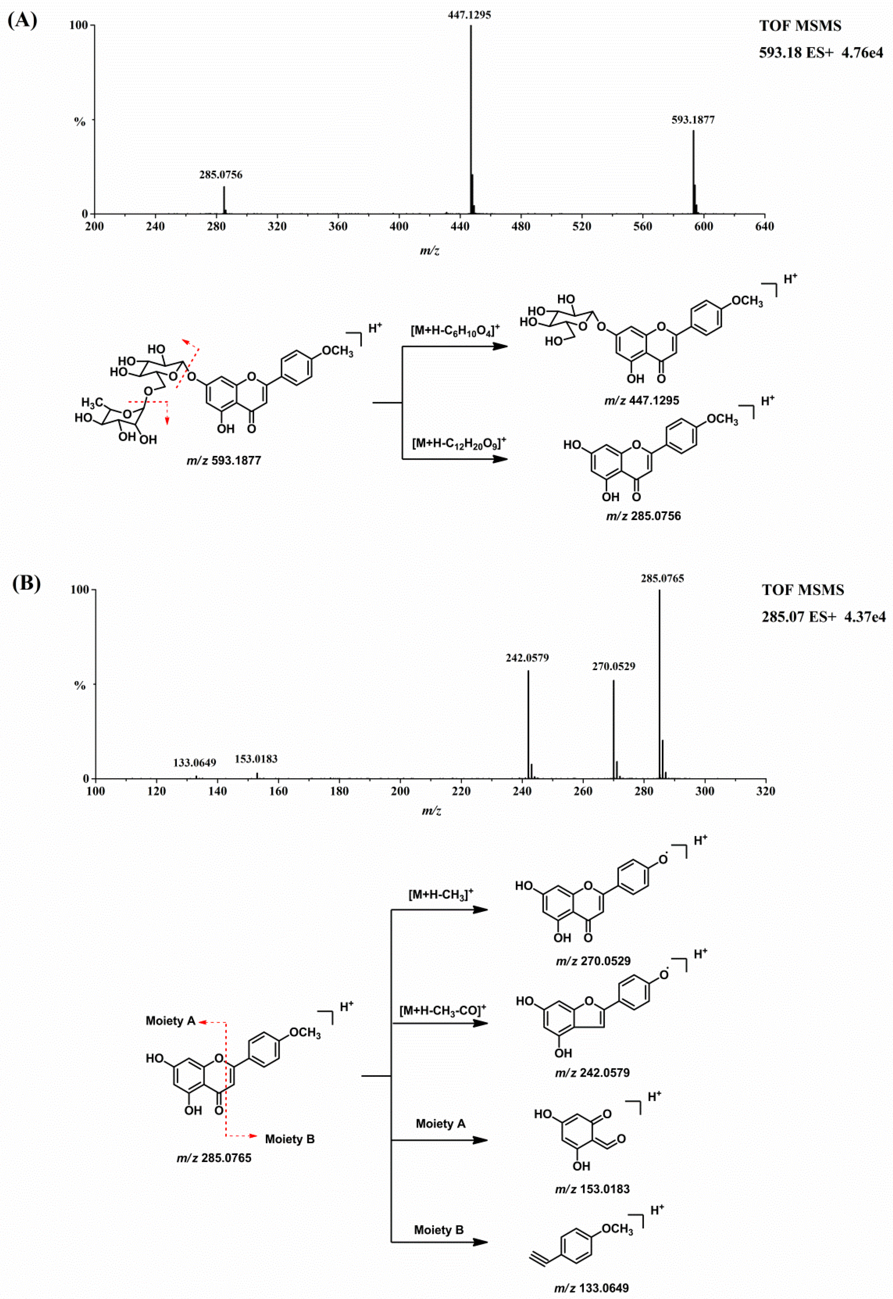 Molecules 23 02140 g003